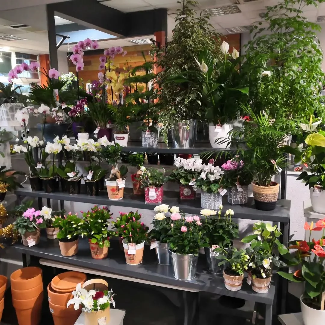 Coqueli'Cath. 100% Fleurs Françaises - 6