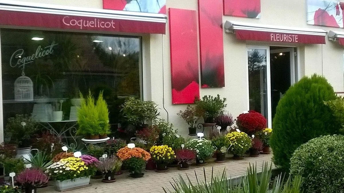 Coquelicot - 3
