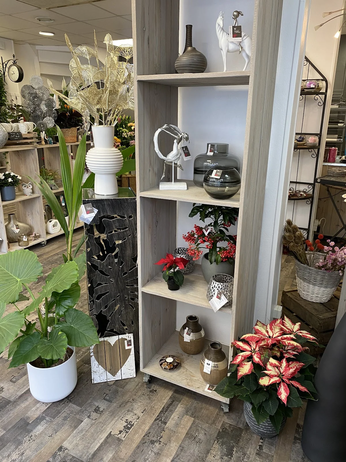 Cordyline - Atelier Fleuriste - Bourgoin Jallieu - 2