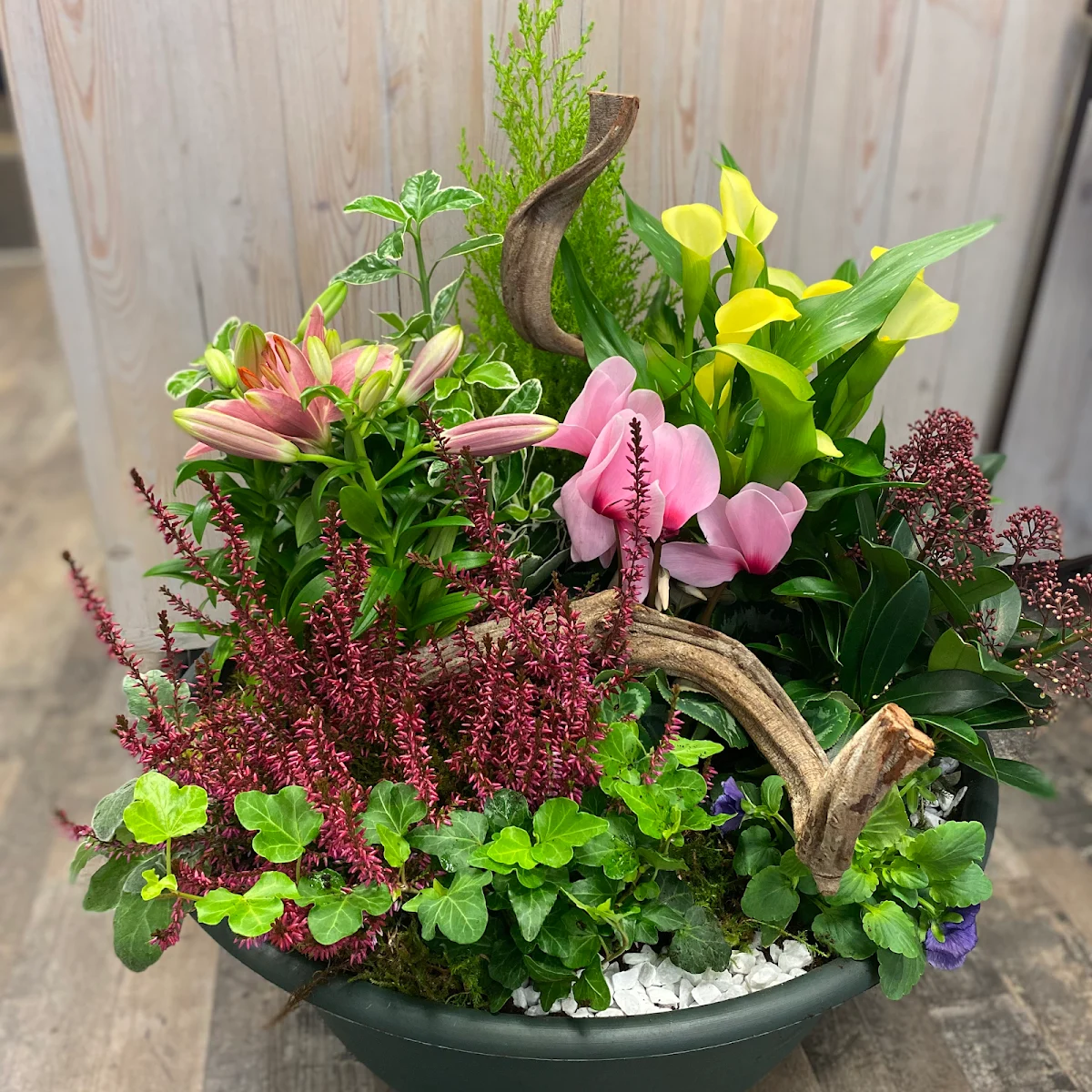 Cordyline - Atelier Fleuriste - Bourgoin Jallieu - 3