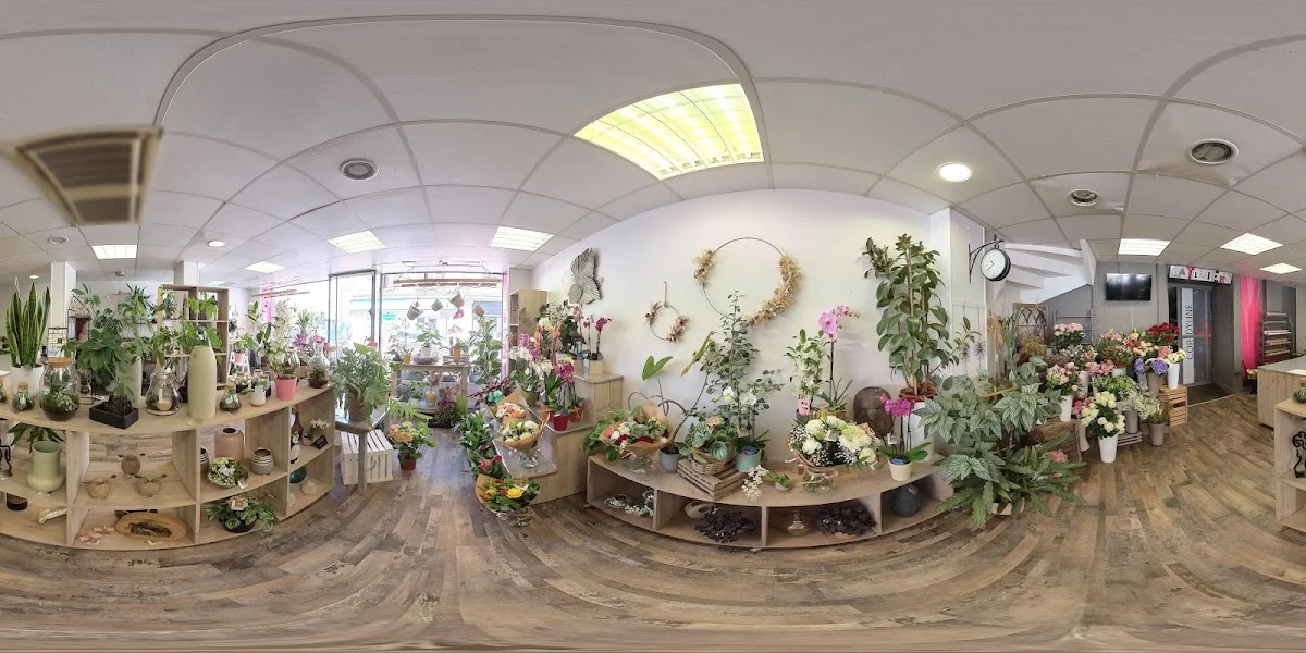 Cordyline - Atelier Fleuriste - Bourgoin Jallieu