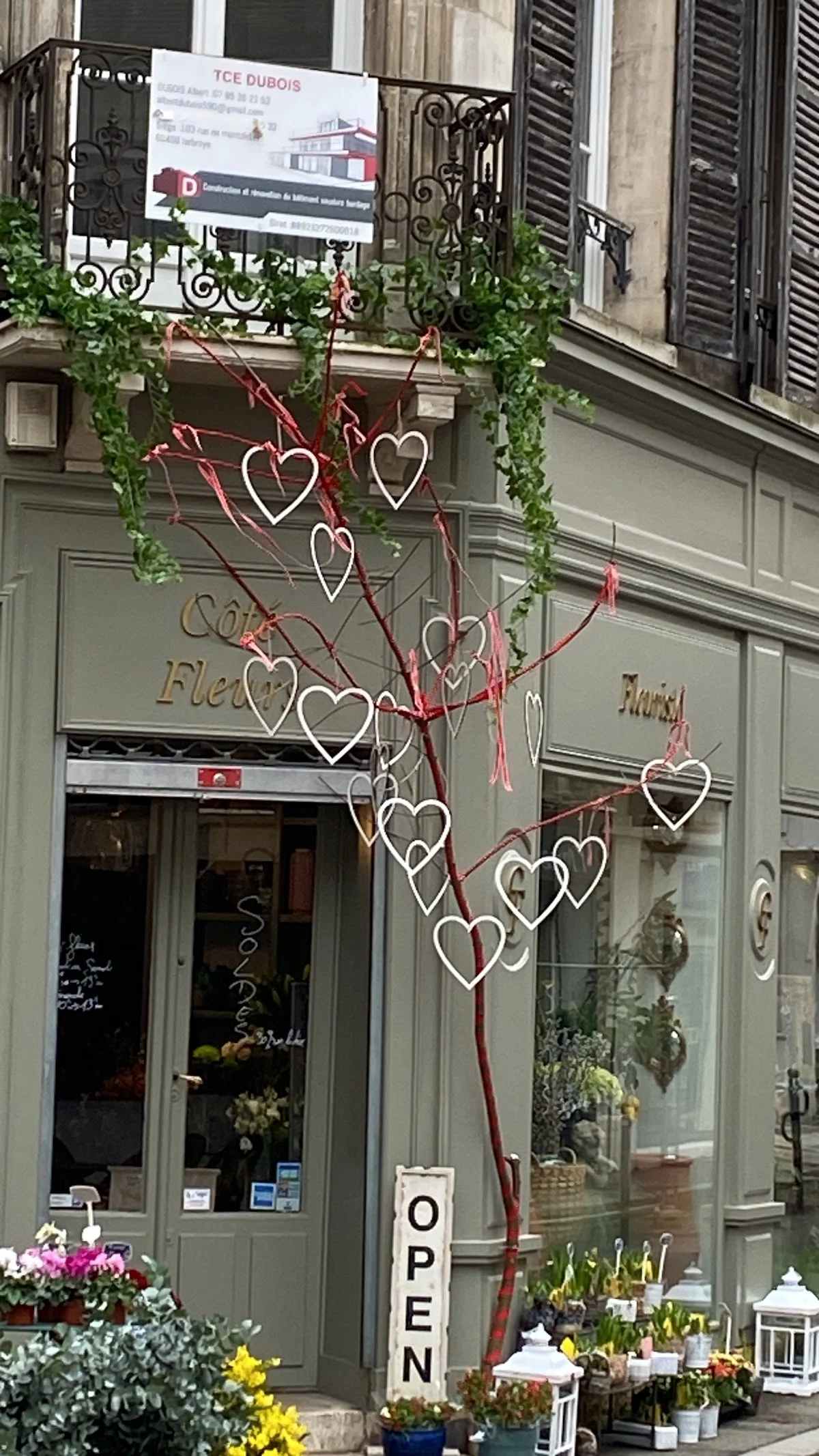 Cote Fleurs - 3