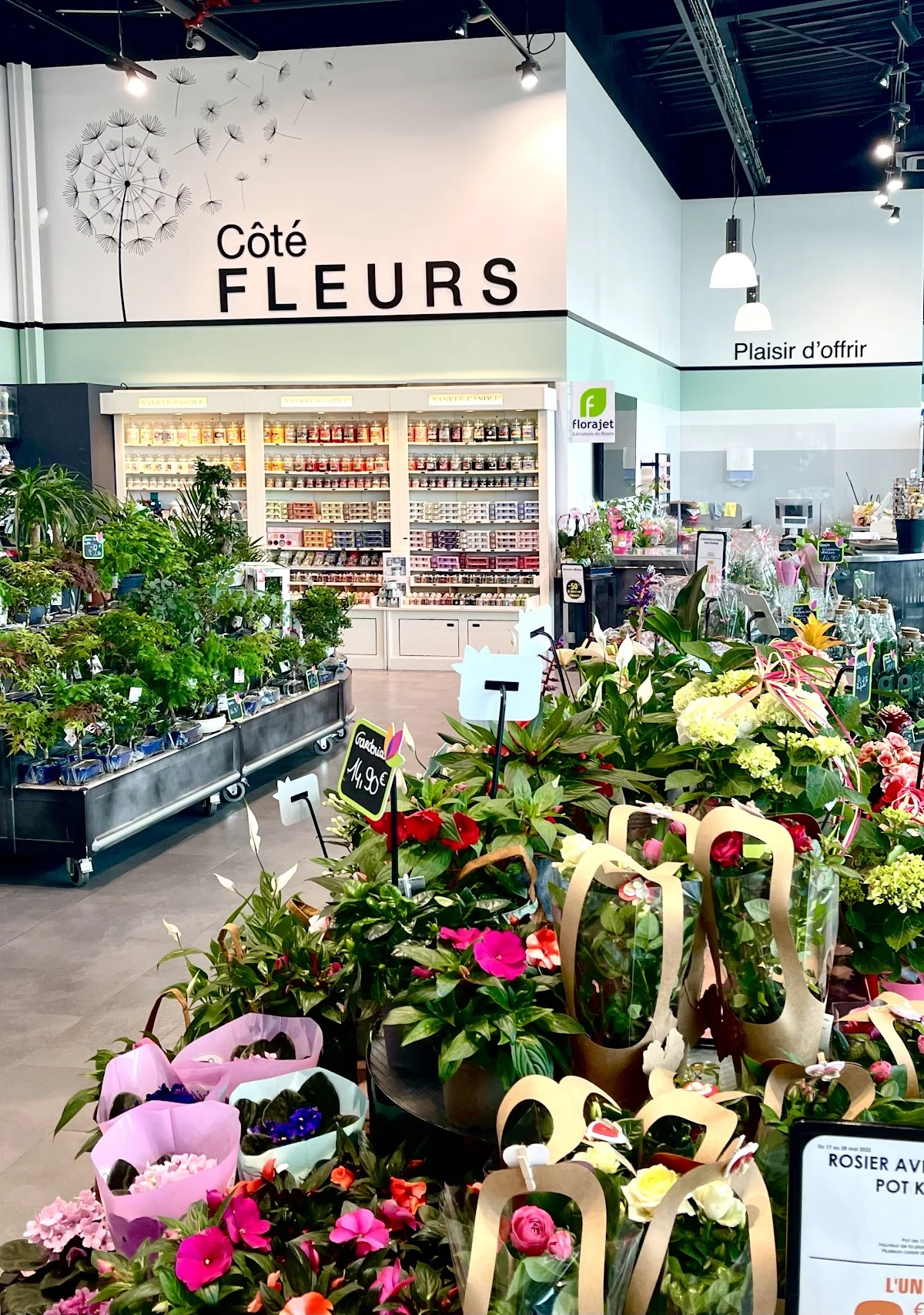 Côté Fleurs - 3