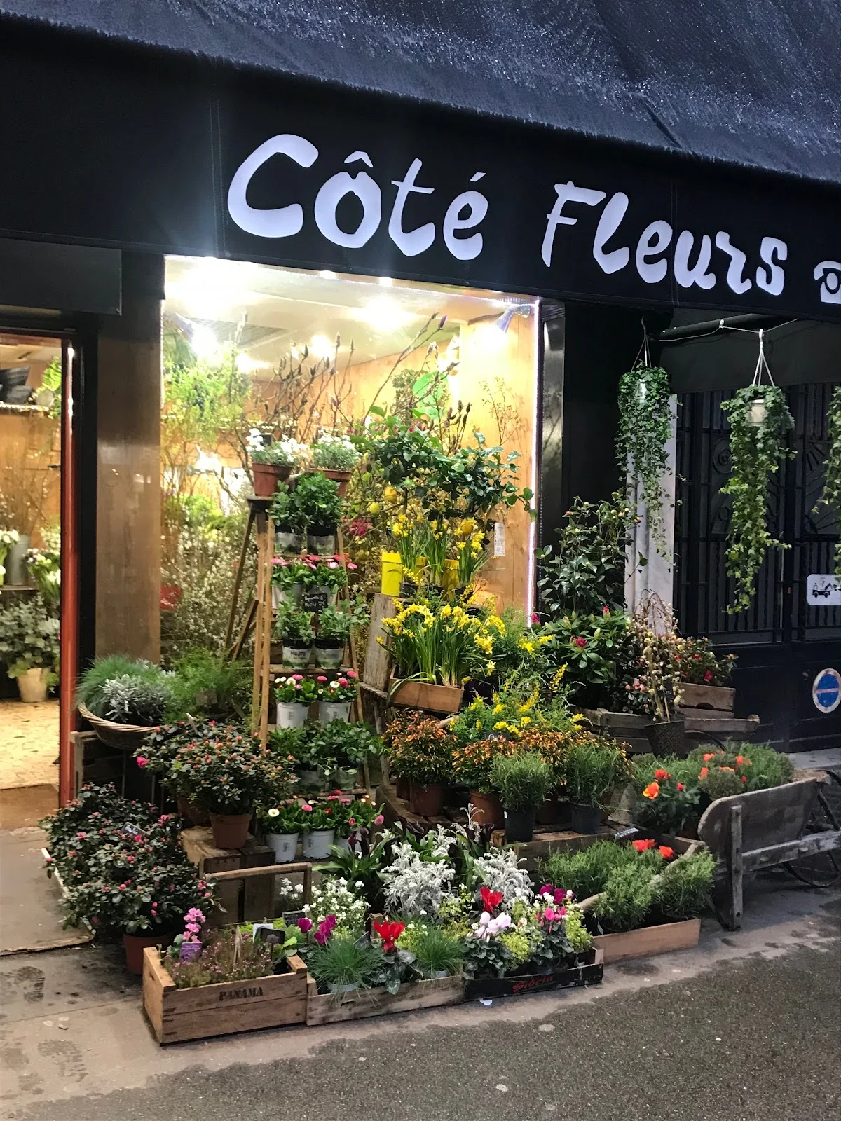 Côté Fleurs - 5