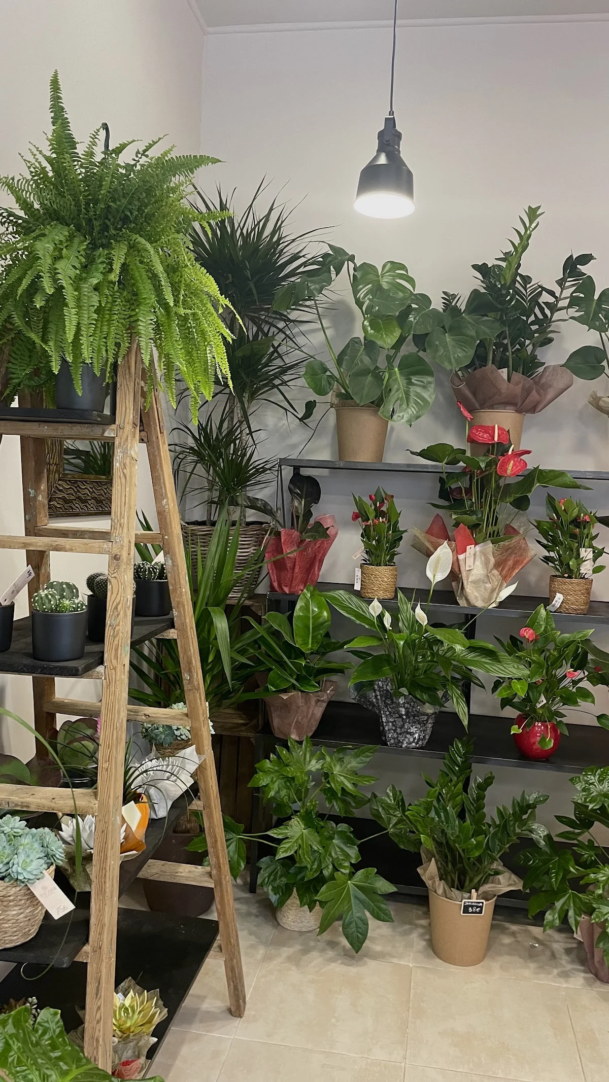 Côté Fleurs, Artisan Fleuriste Agde - 2