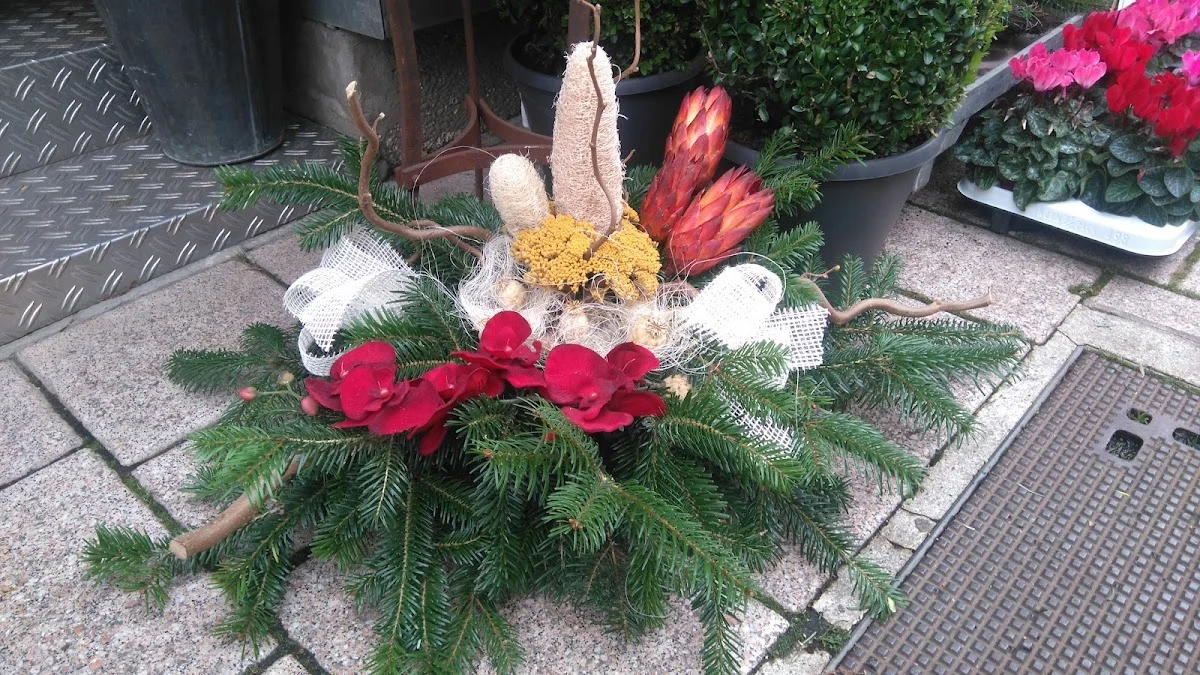 Côté Jardin - 2