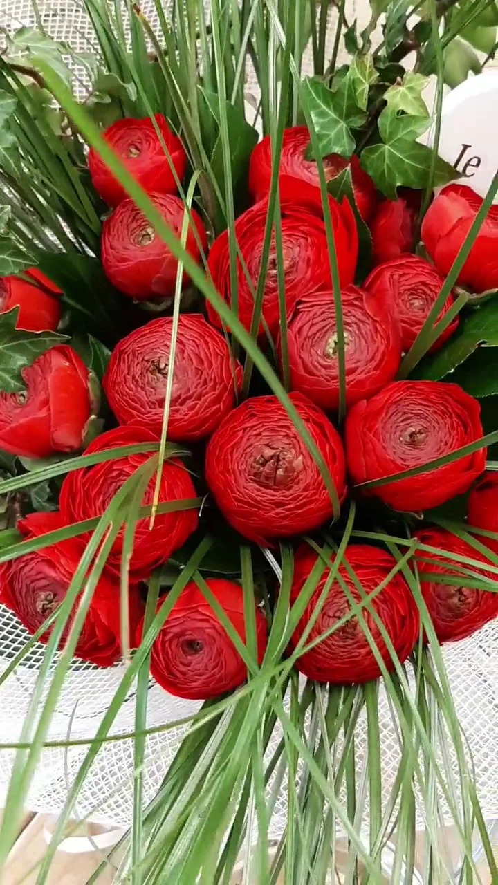Couleur Fleurs - 3