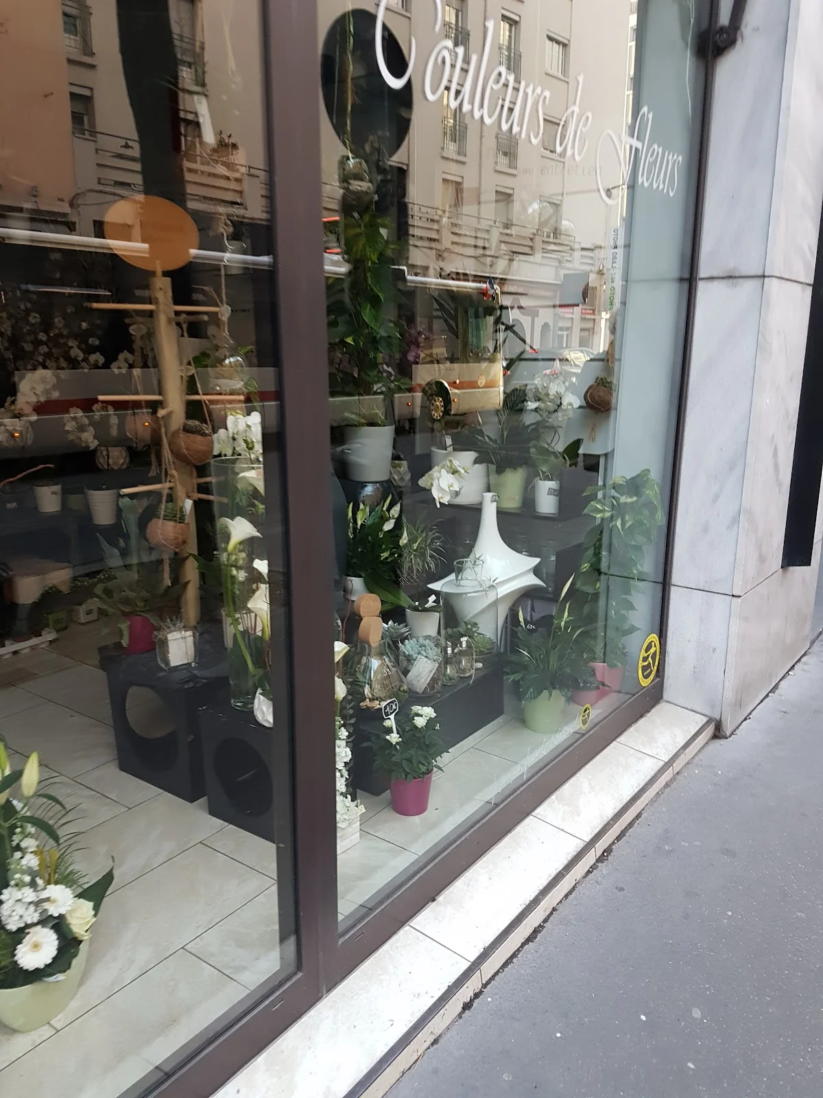 Couleurs de Fleurs
