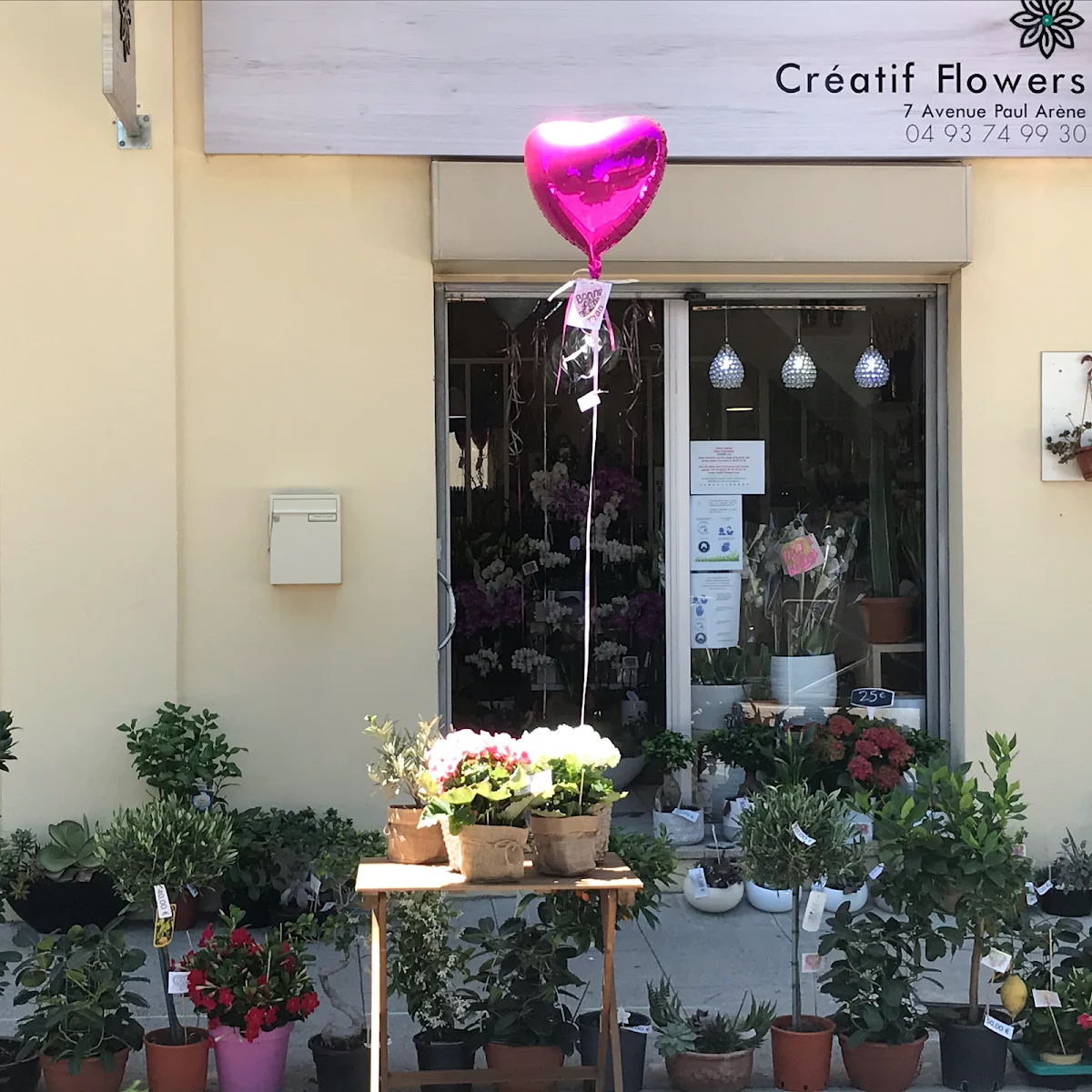 Créatif Flowers