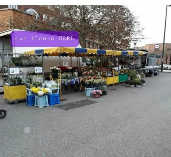 Cys Fleurs Sarl