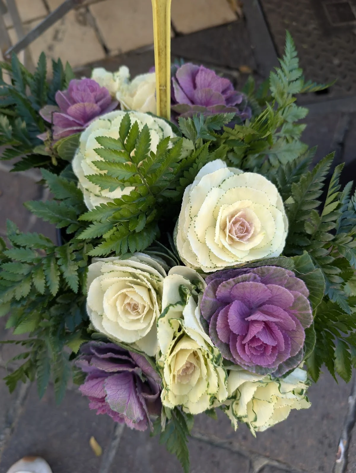 daniel fleurs