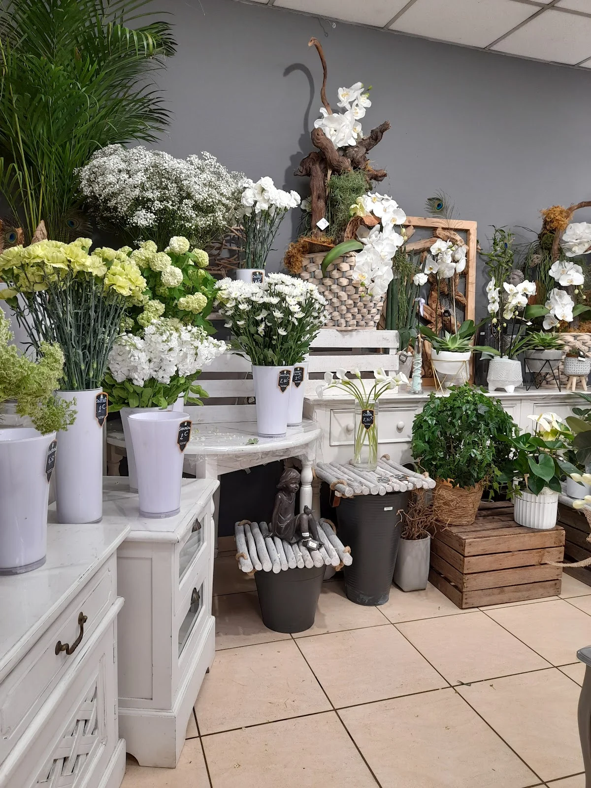 Danyflor - 3