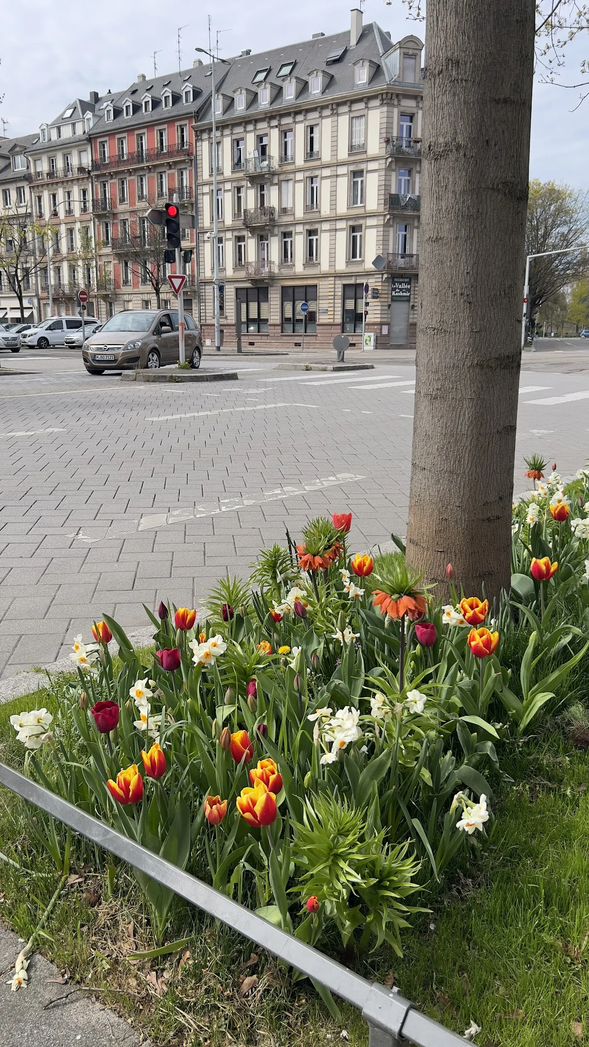 De Angelis Fleurs - 2