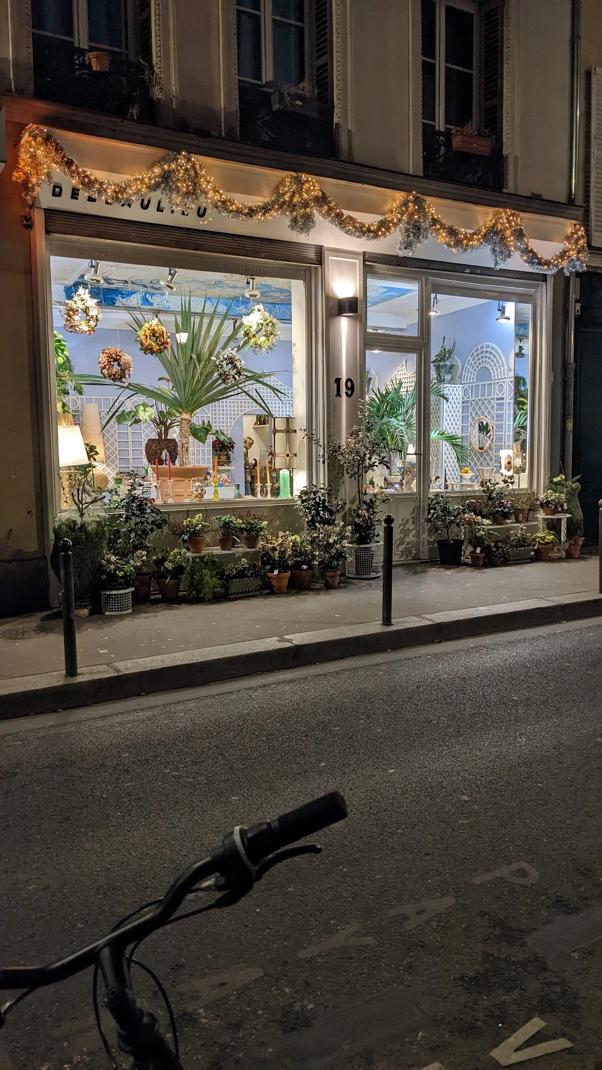 DEBEAULIEU Fleurs - 2