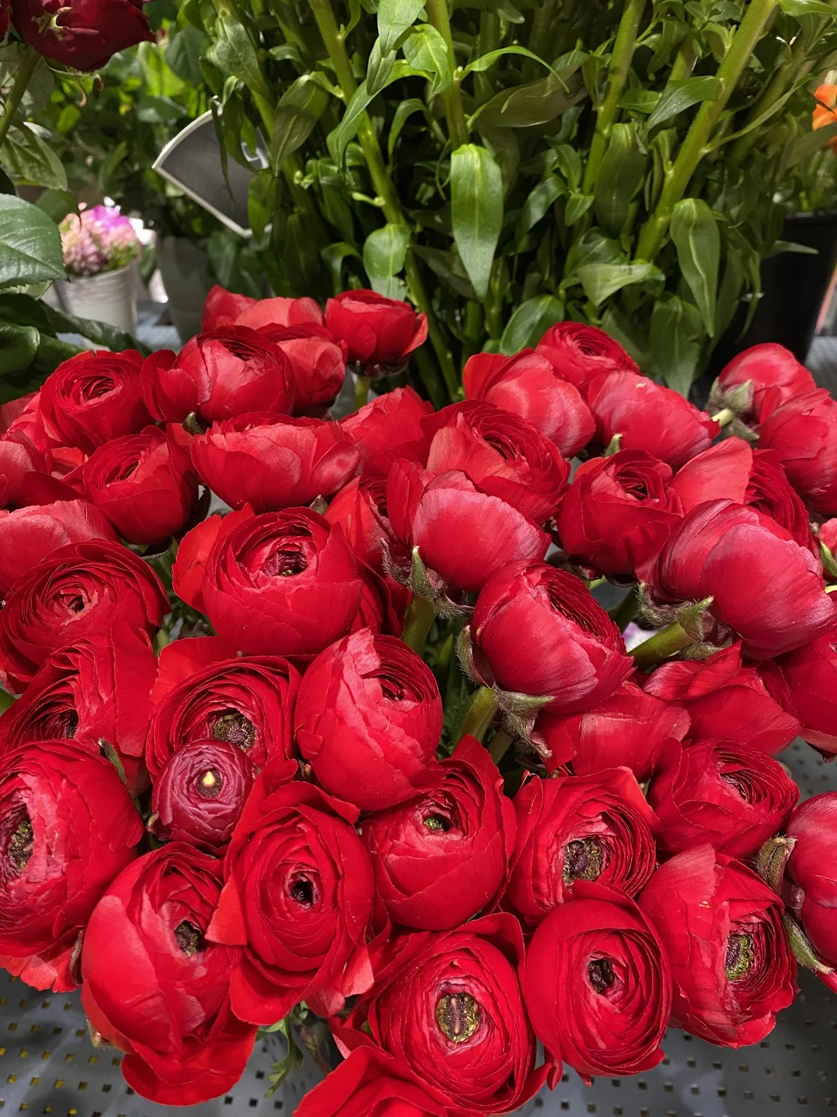 DECURNINGE Fleurs - 2