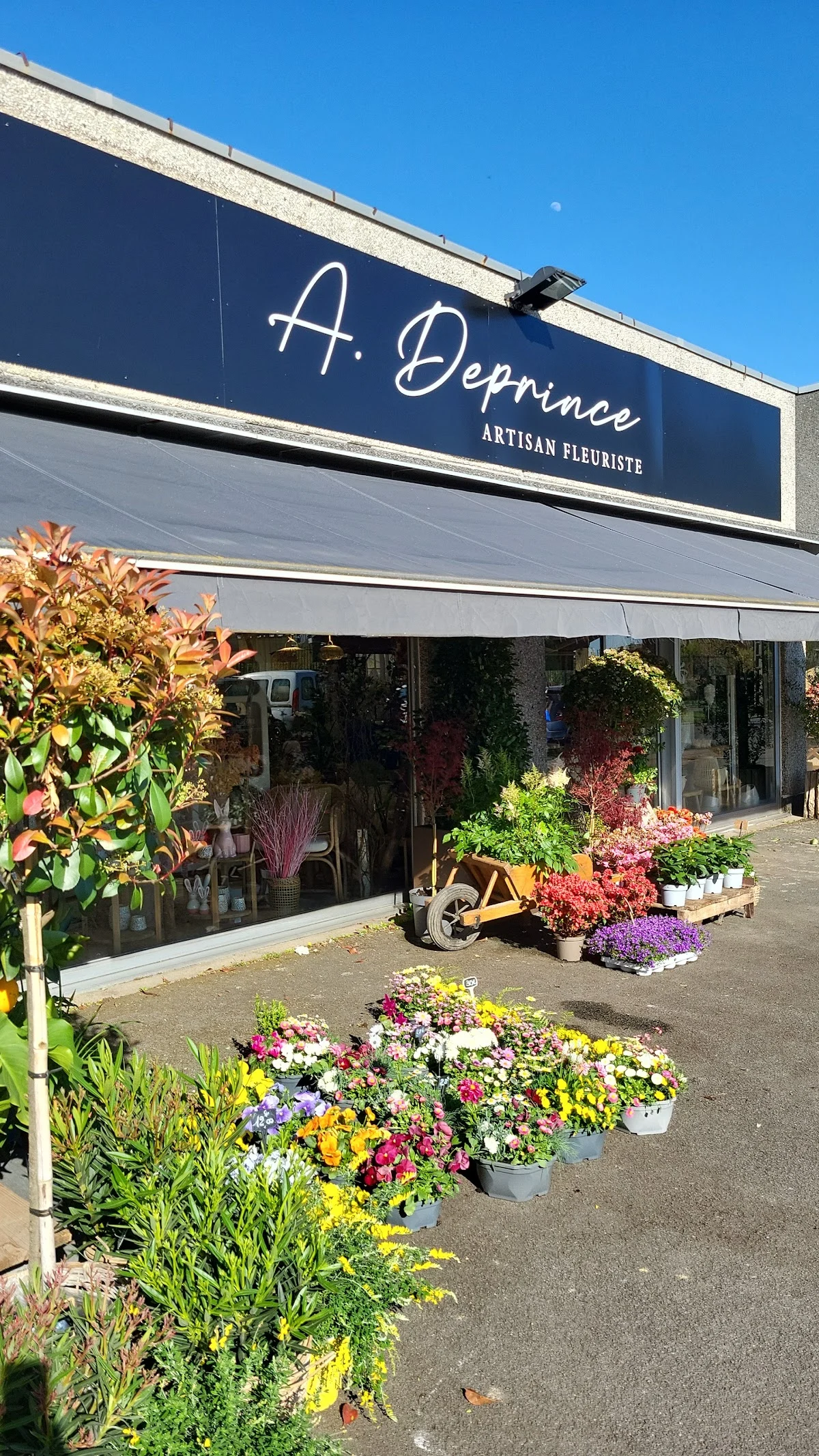 Deprince Fleuriste - Croix