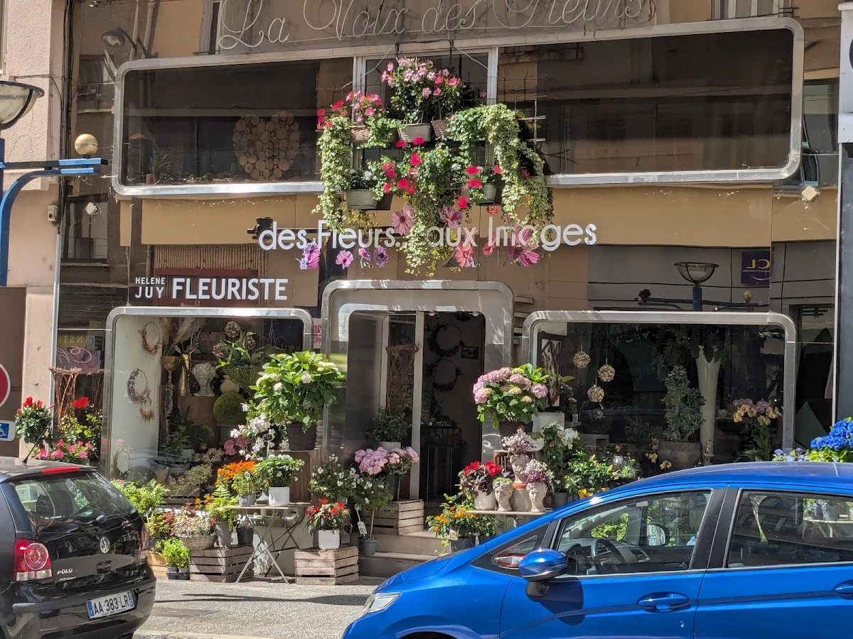 Des Fleurs aux Images