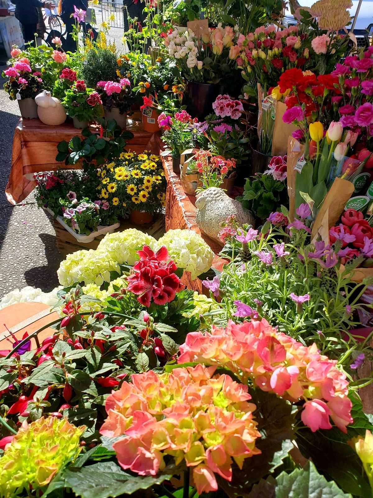 Des fleurs chez soi - 3