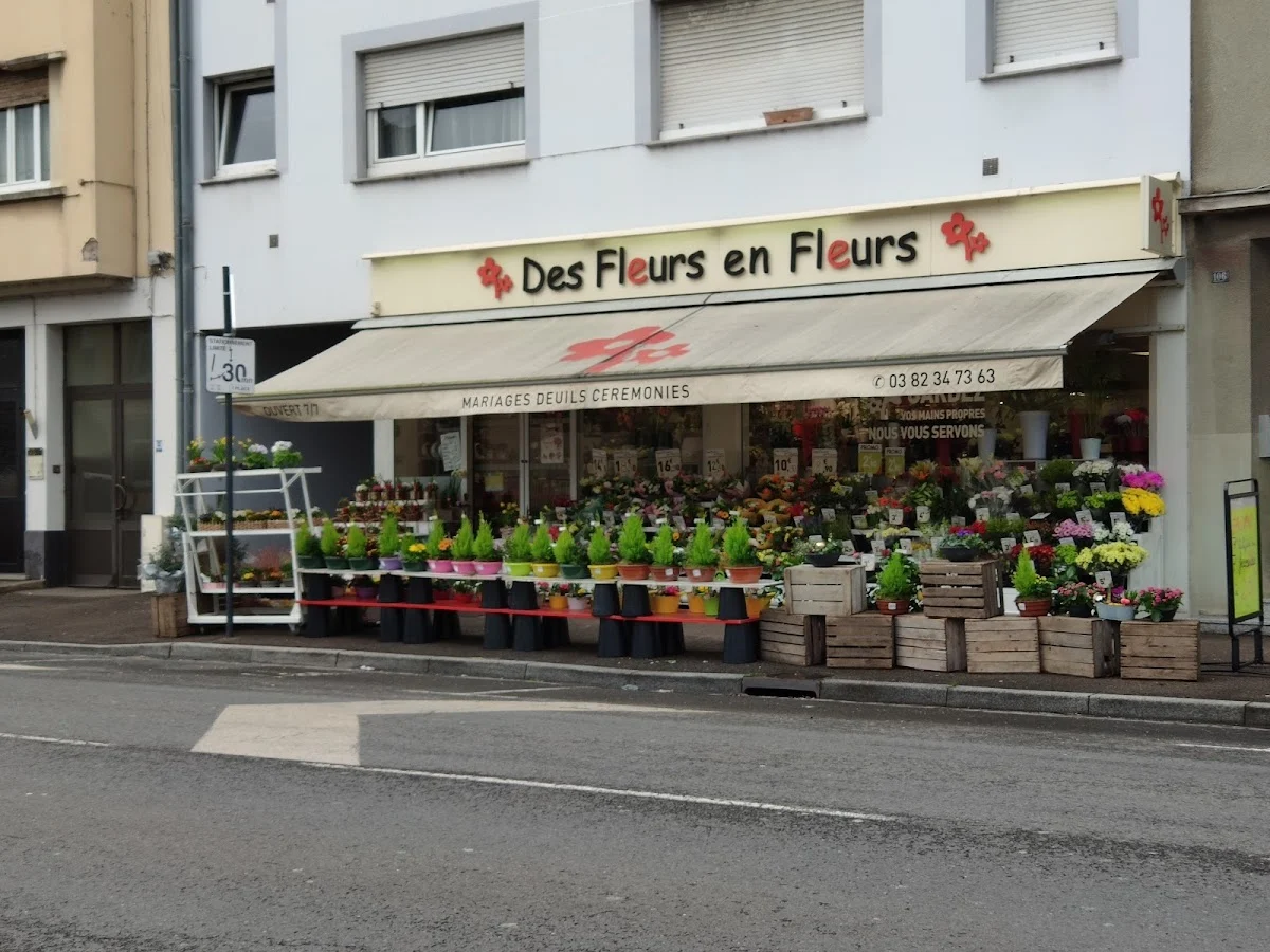 Des Fleurs en Fleurs
