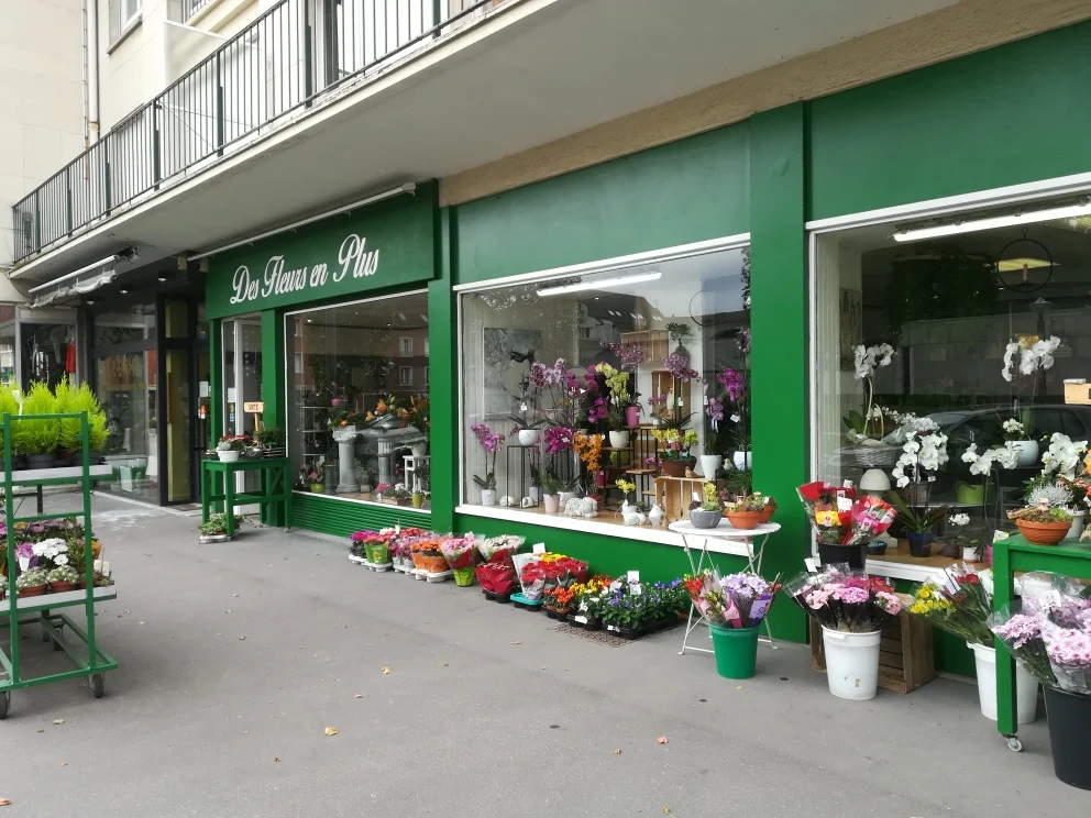 Des Fleurs En Plus