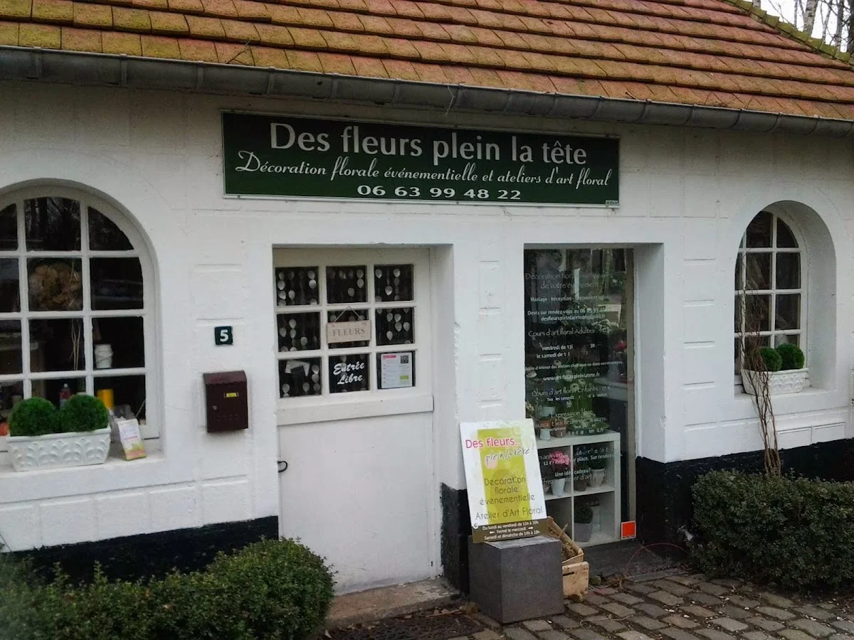 Des fleurs plein la tête