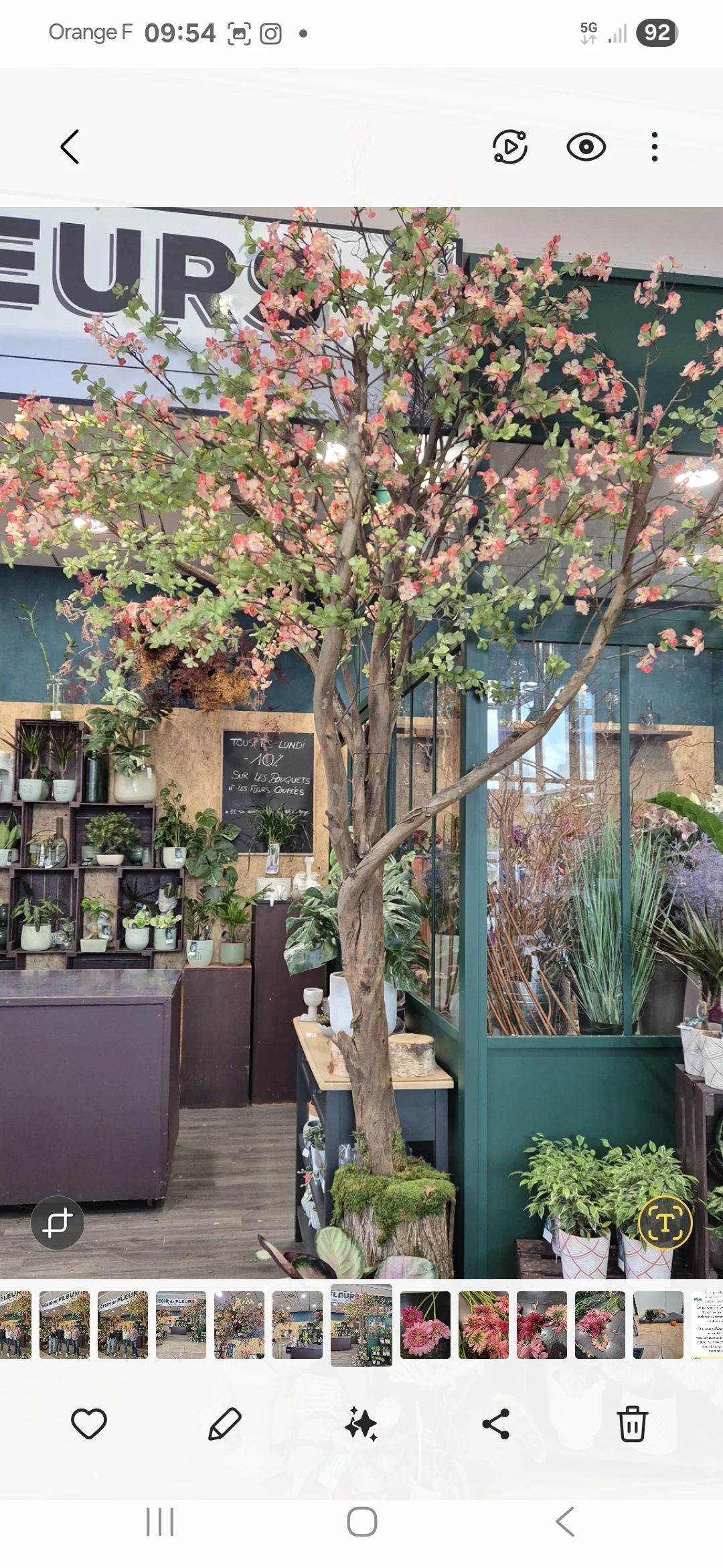 Désir de Fleurs - 4