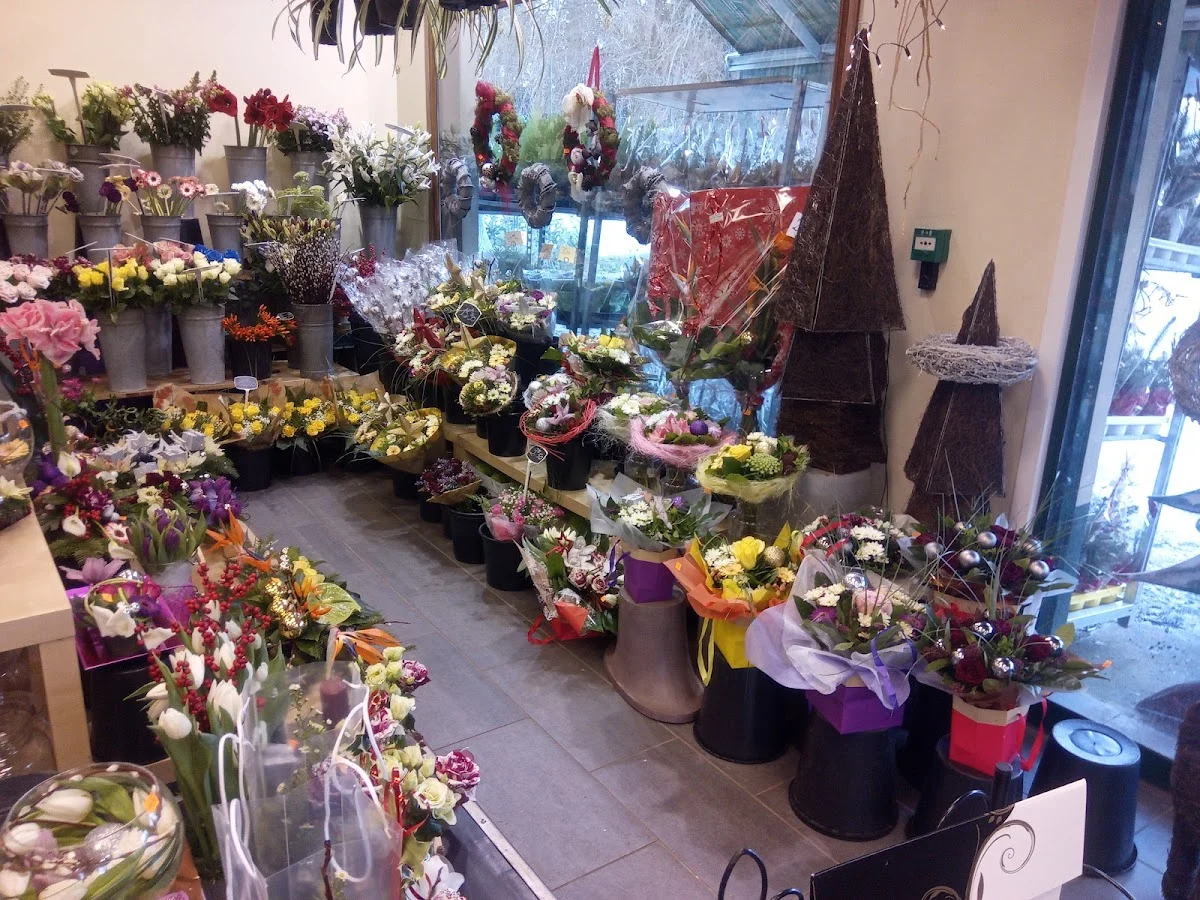Dewaghe Fleurs - 2
