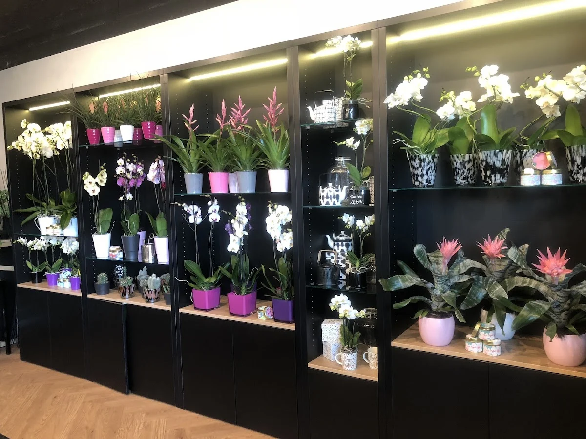 Dolce Terra - Fleurs & Design - 2