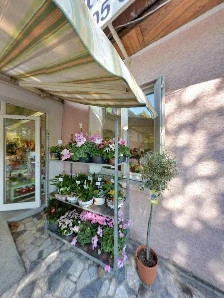 DOMI-FLEURS - 2