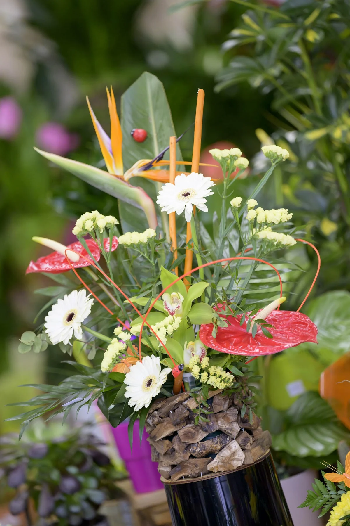 Douce Fleur - 4