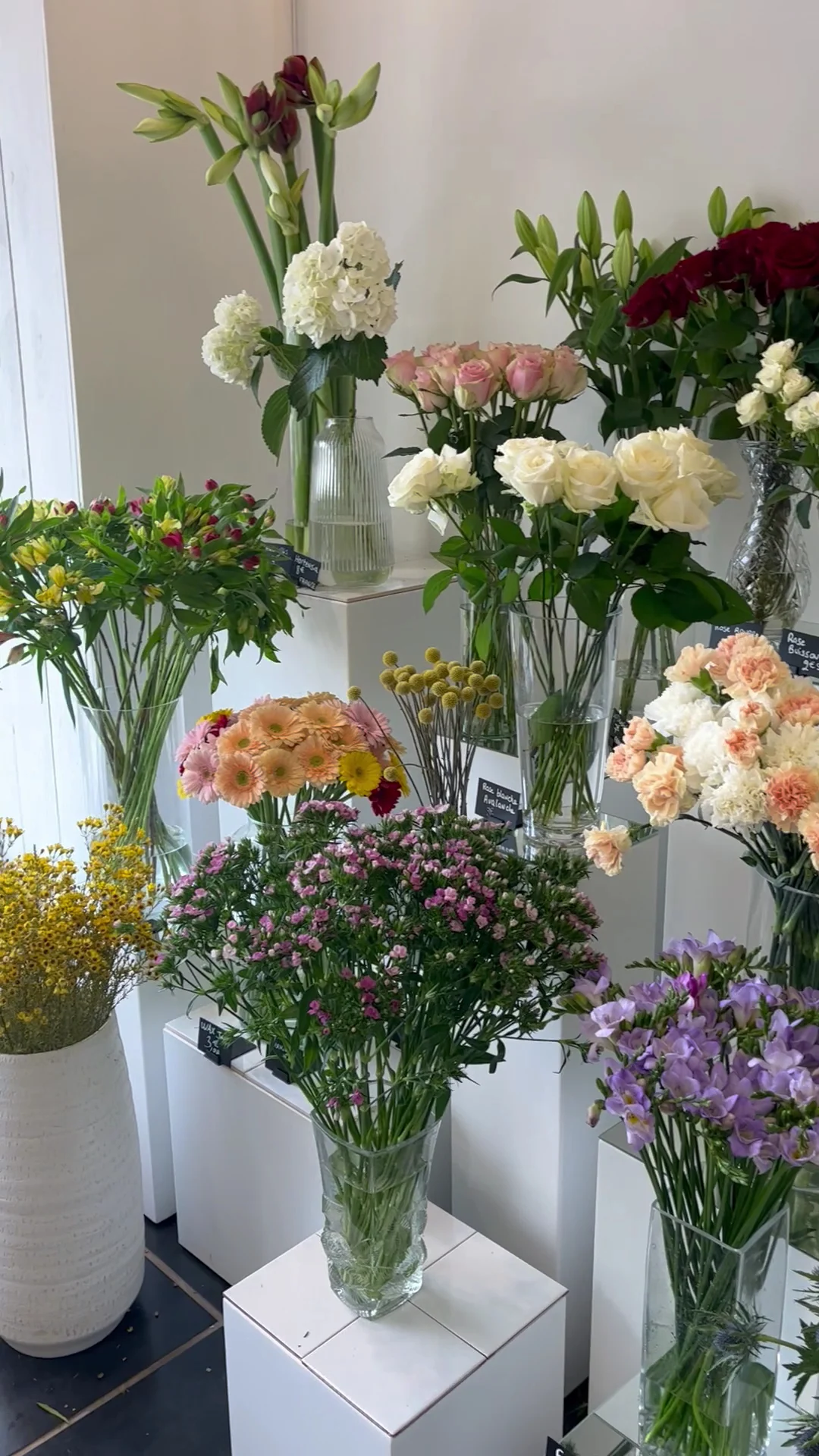 Dubouquet fleuriste - République / St Michel - 6