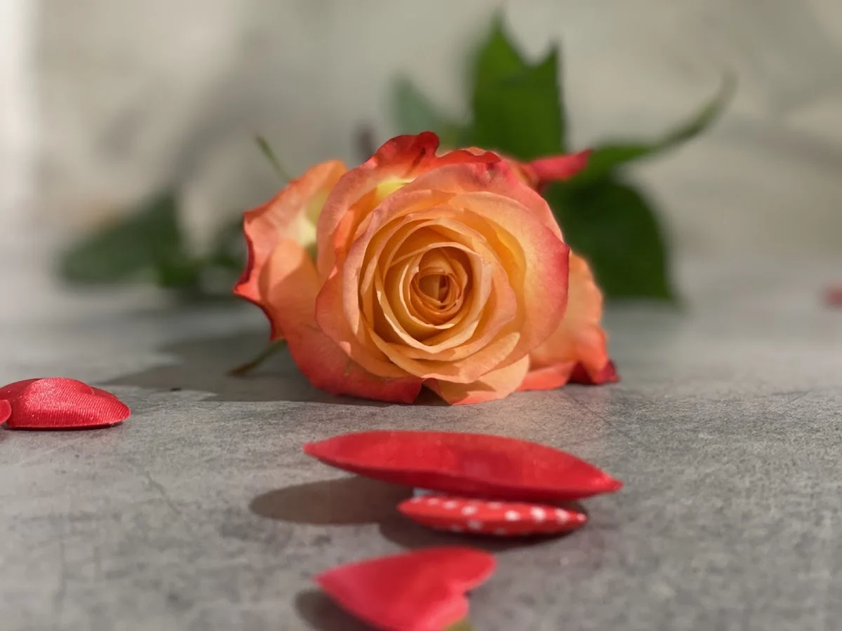 Easy Fleurs - 3