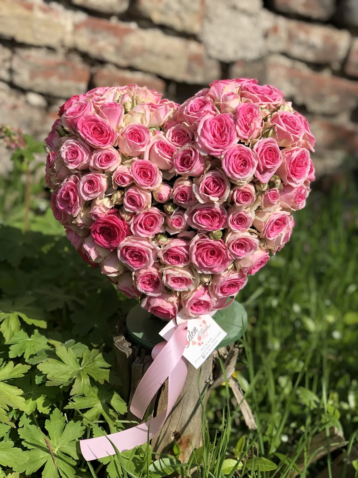 Eden Fleurs - 3
