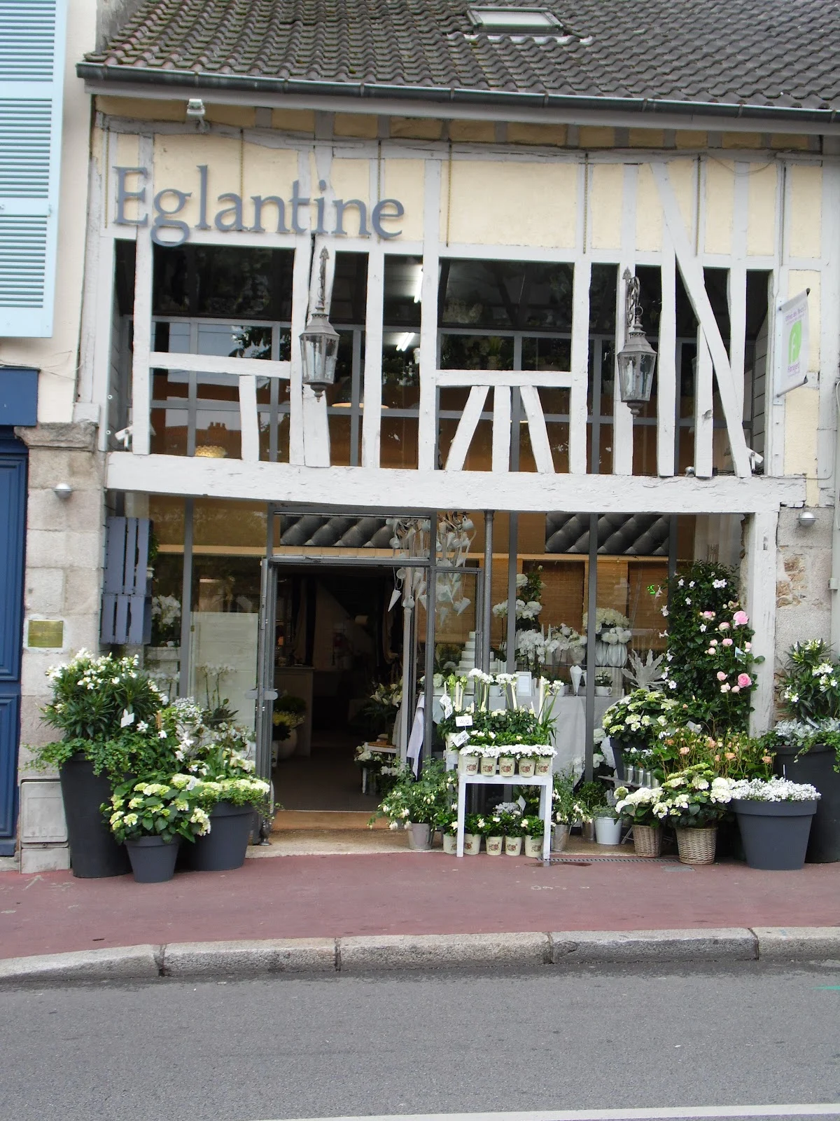 Eglantine - Fleuriste à Limoges