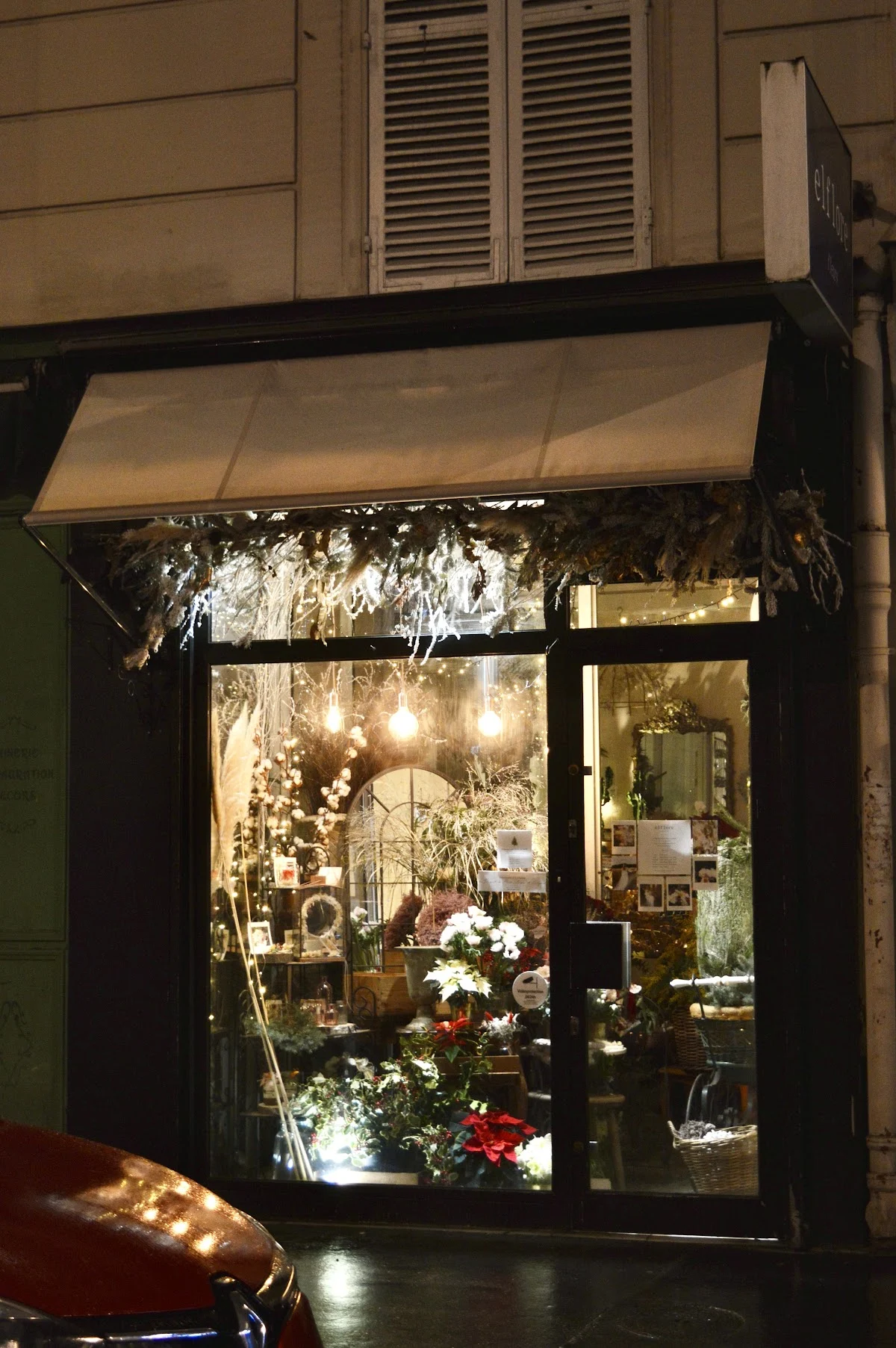 elflore - 4