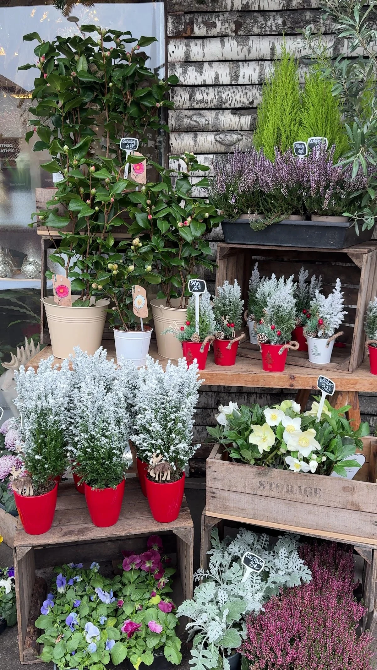 Eloi Fleurs, artisan fleuriste, Maisons-Alfort, Uber Eats - 5