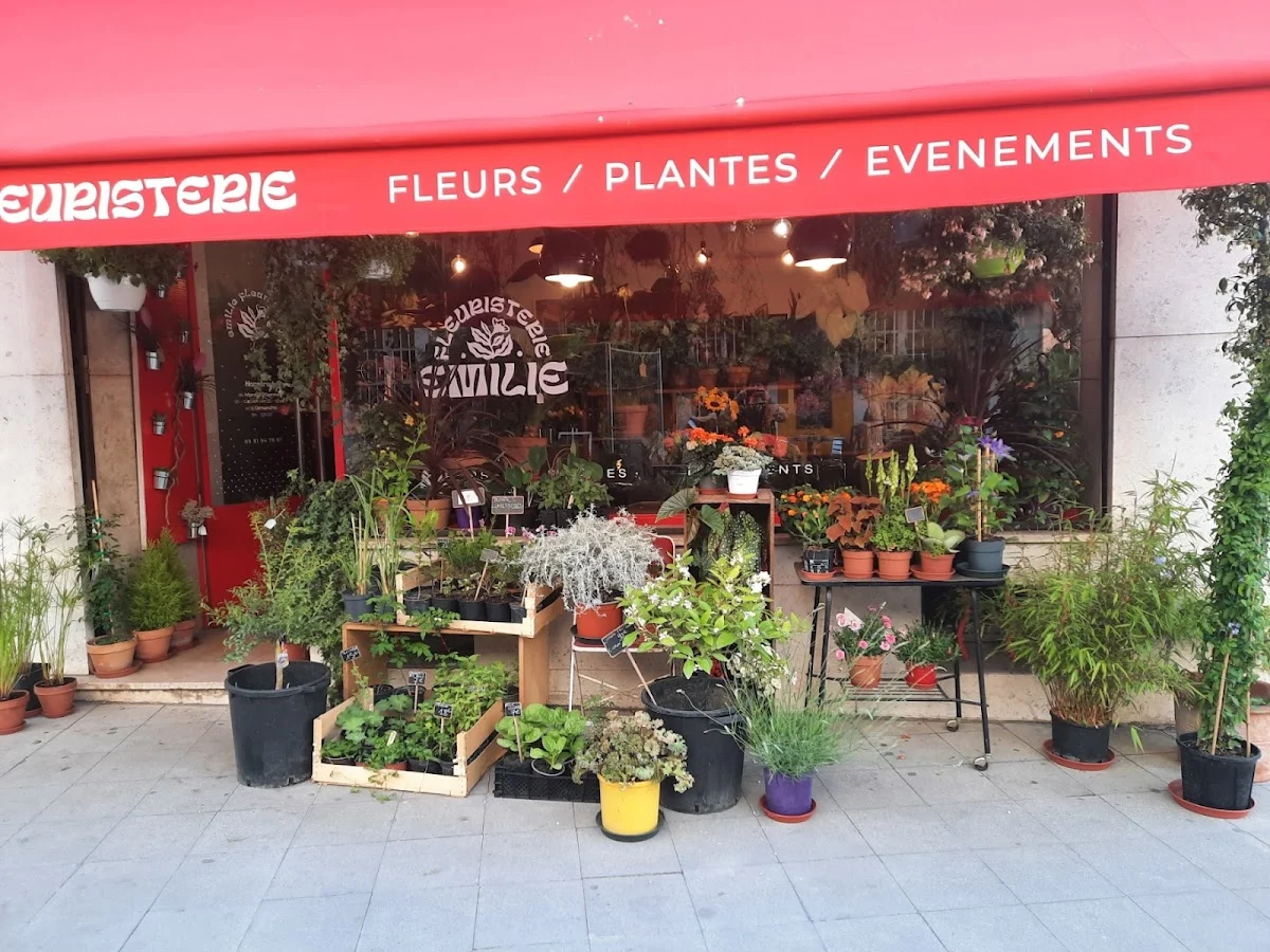 Emilie Fleuristerie - La Maison Rouge | Fleuriste Arles - 3