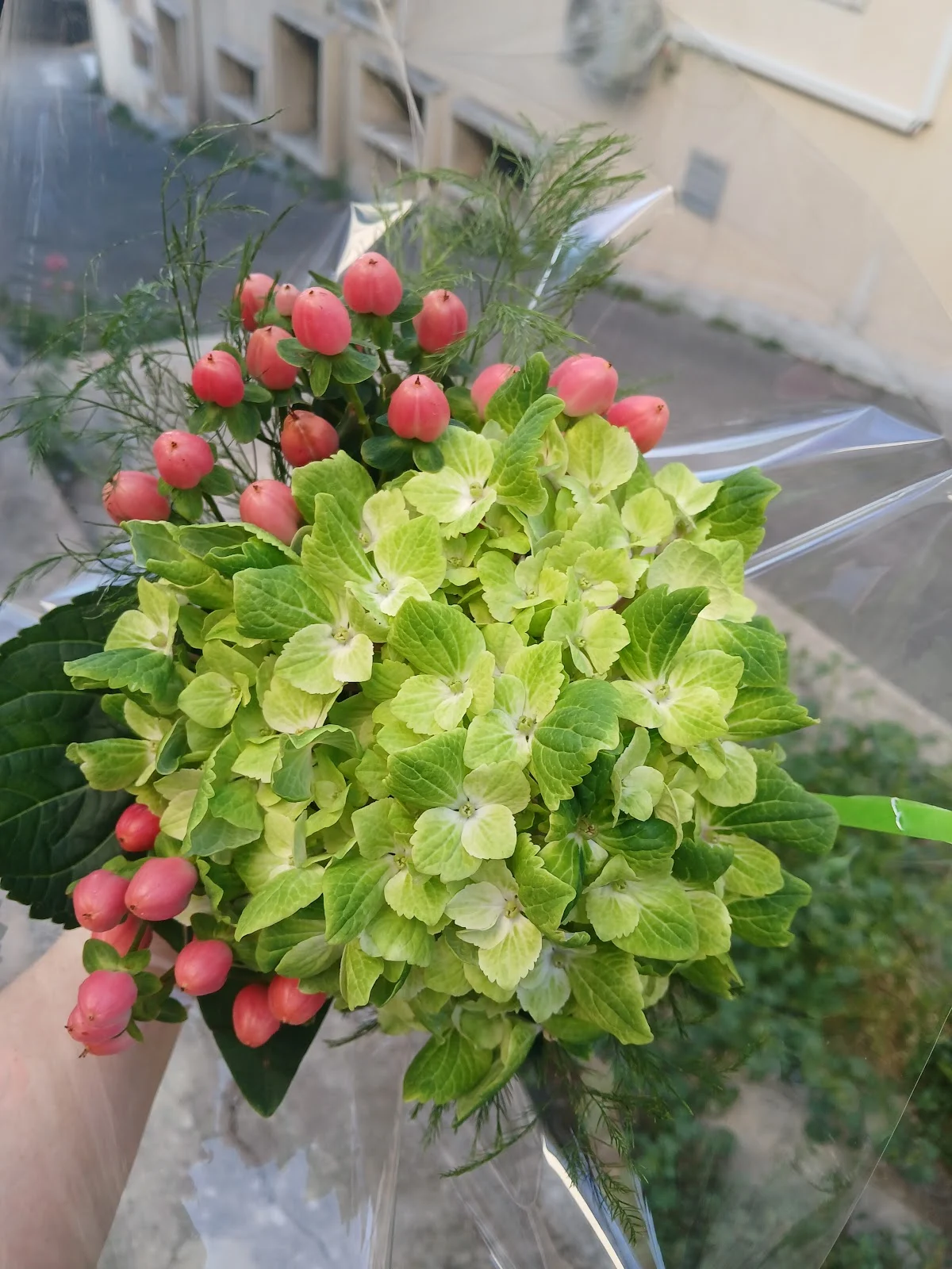 EMILIE-FLEURS MME ORTEGA - 2