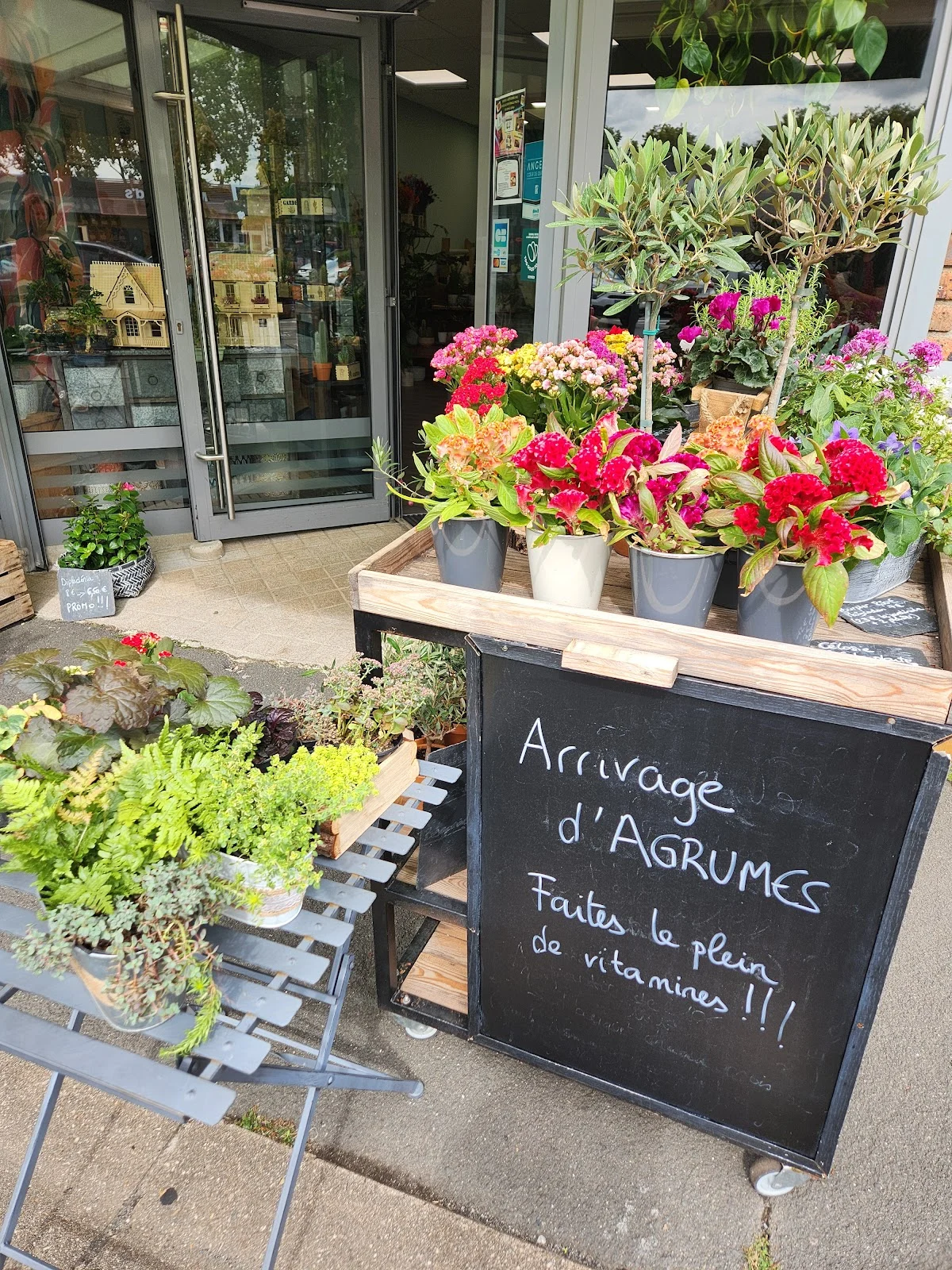 En Roses et Loire : Fleurs, plantes, décorations et objets personnalisés Angers - 4