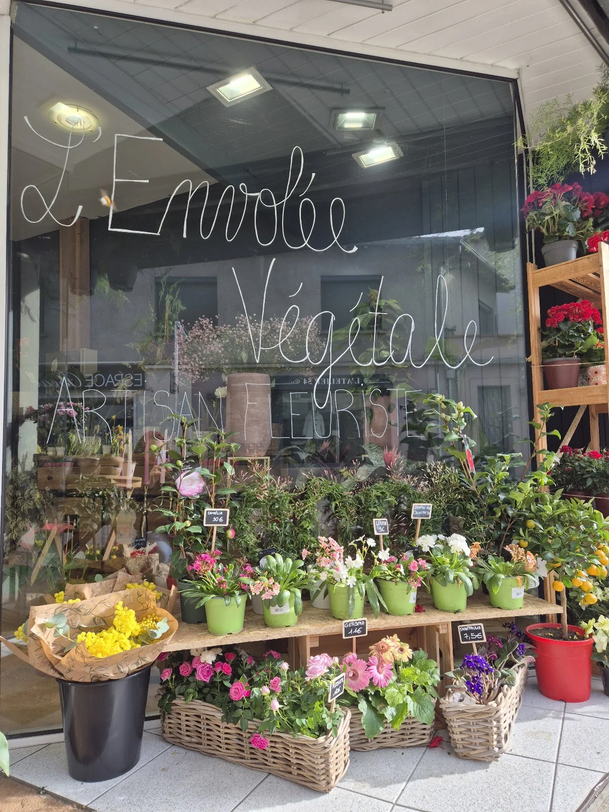Envolée Végétale - Fleuriste Blagnac - 4