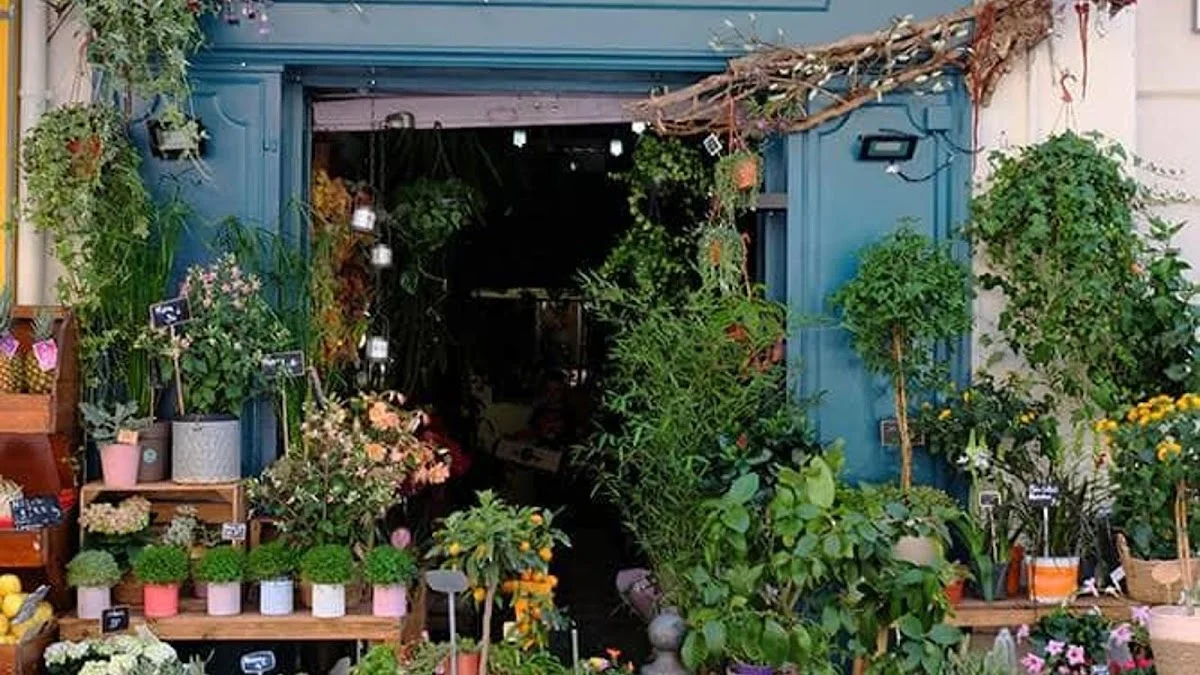 Épines De Paradis - Fleuriste Marseille - 4