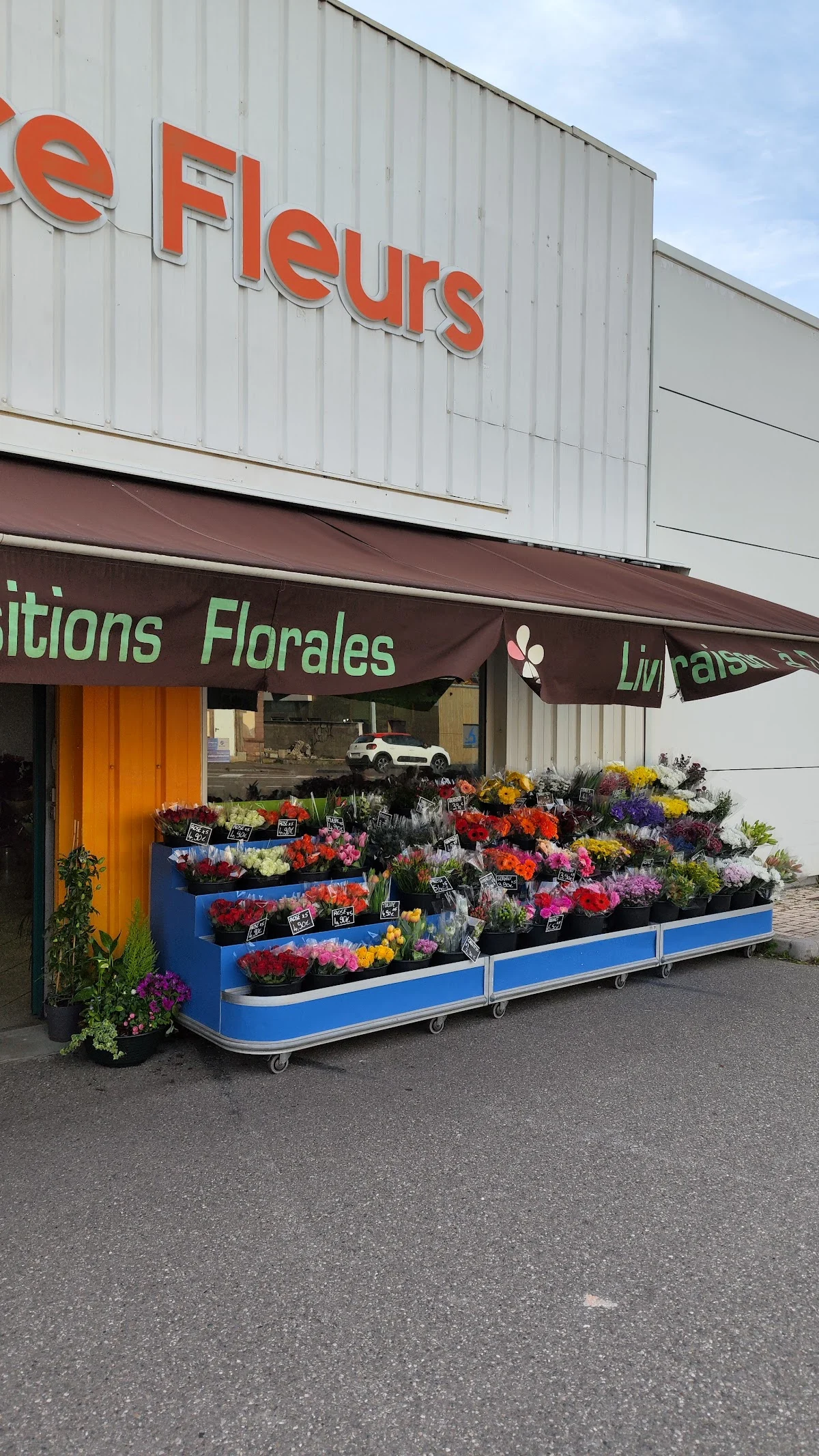 Espace Fleurs Colmar