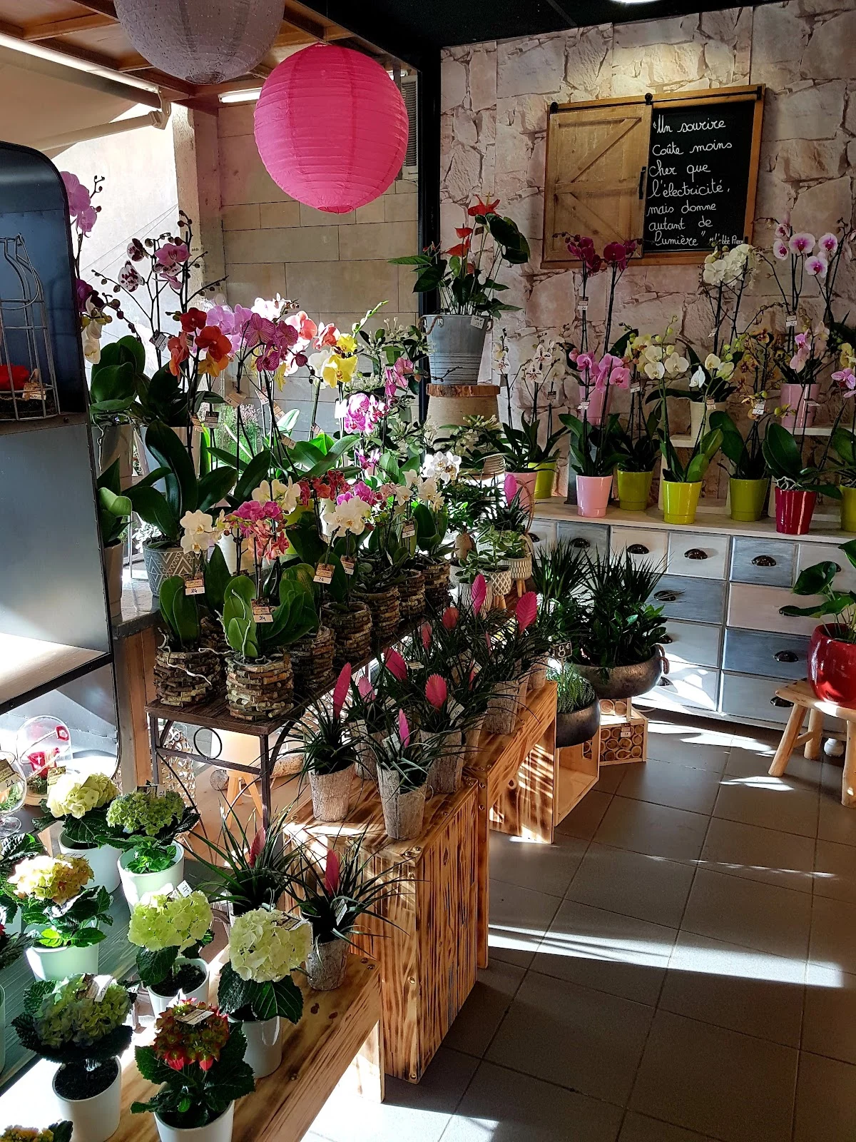 Espace Fleurs - Roux Mélanie - 2