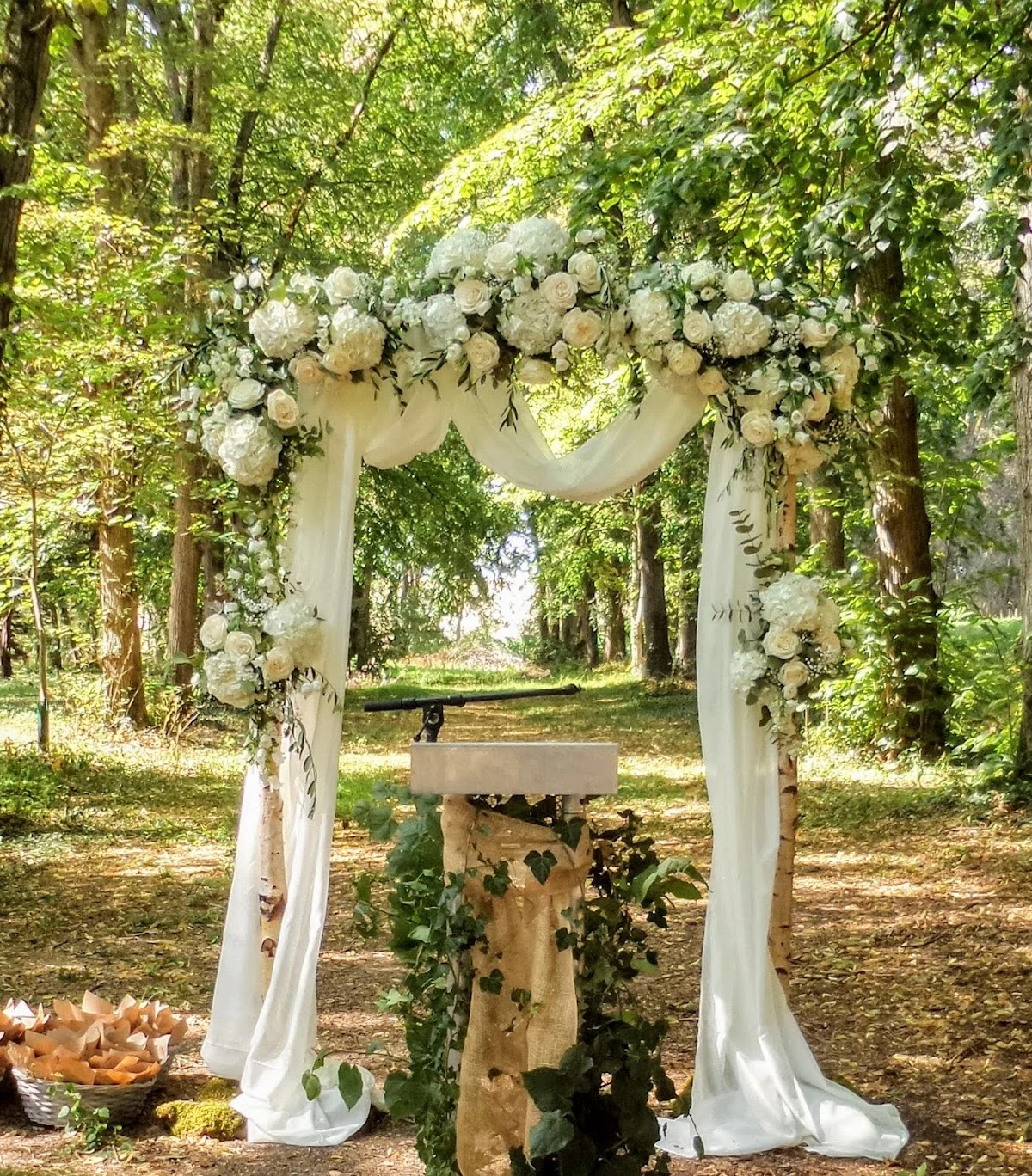 Espace Floral Marsin - 4