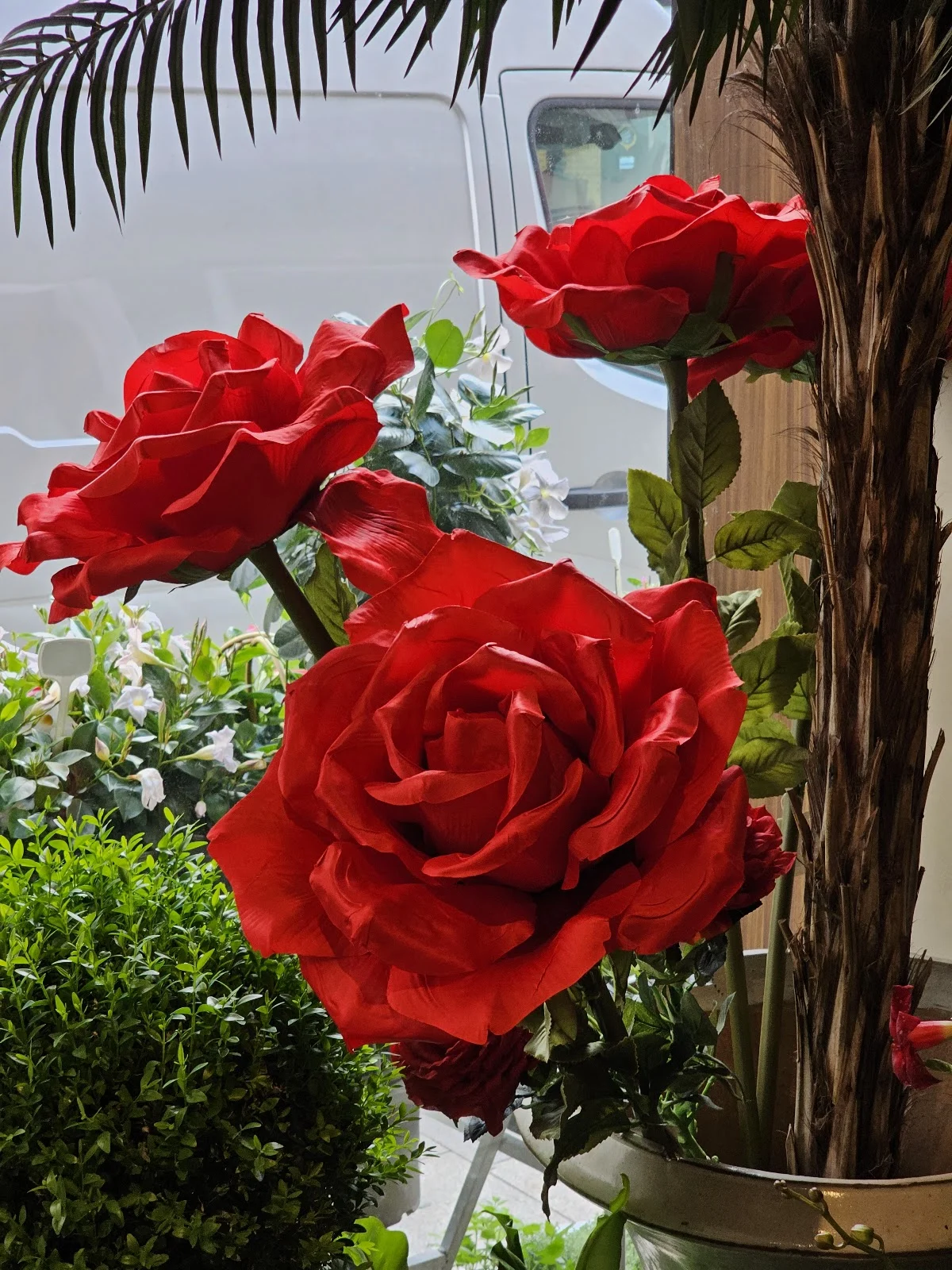 Eve Fleurs