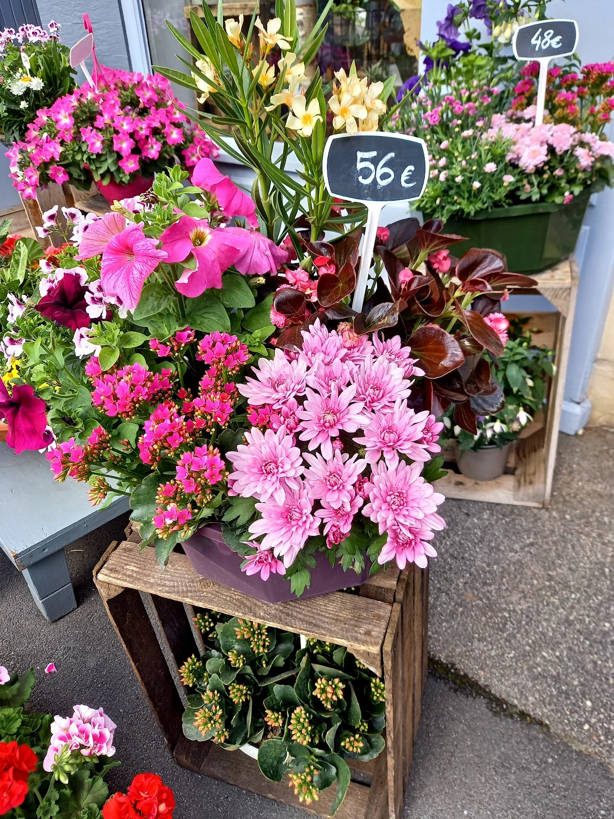 Evelyne Fleurs - 2