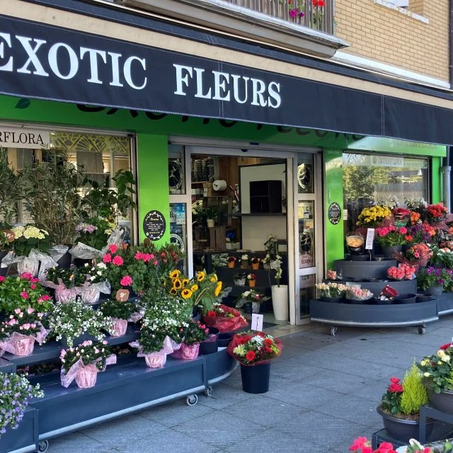 exotic fleurs