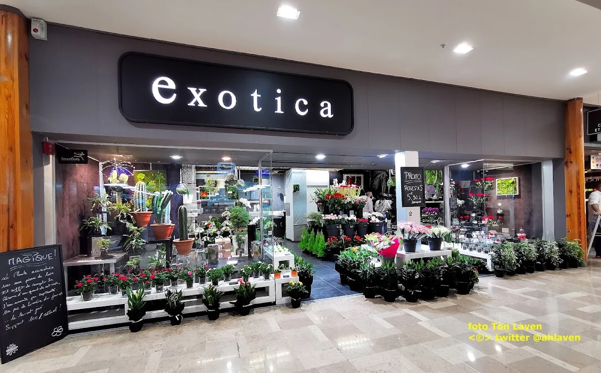 Exotica Fleurs - 3