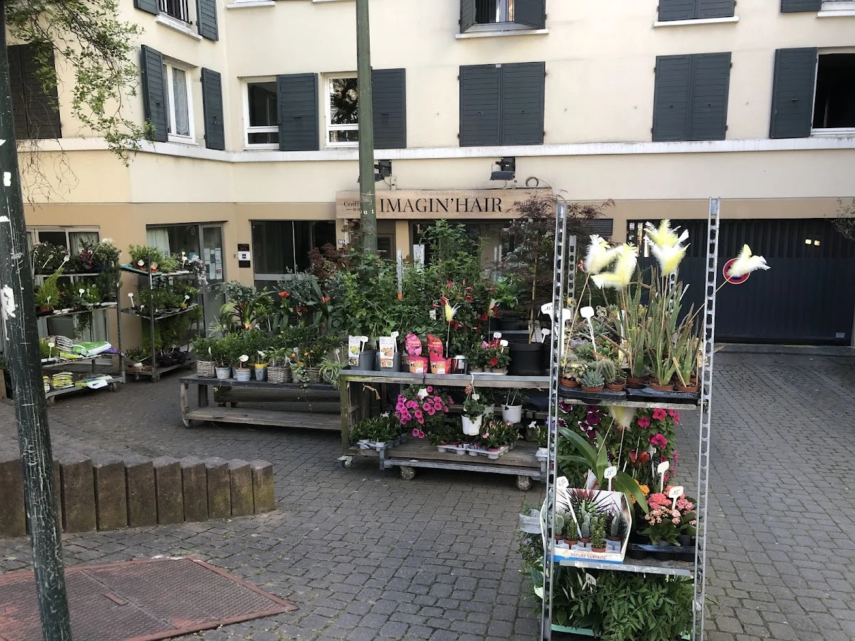 Exotica, Gilles Fretz Fleuriste