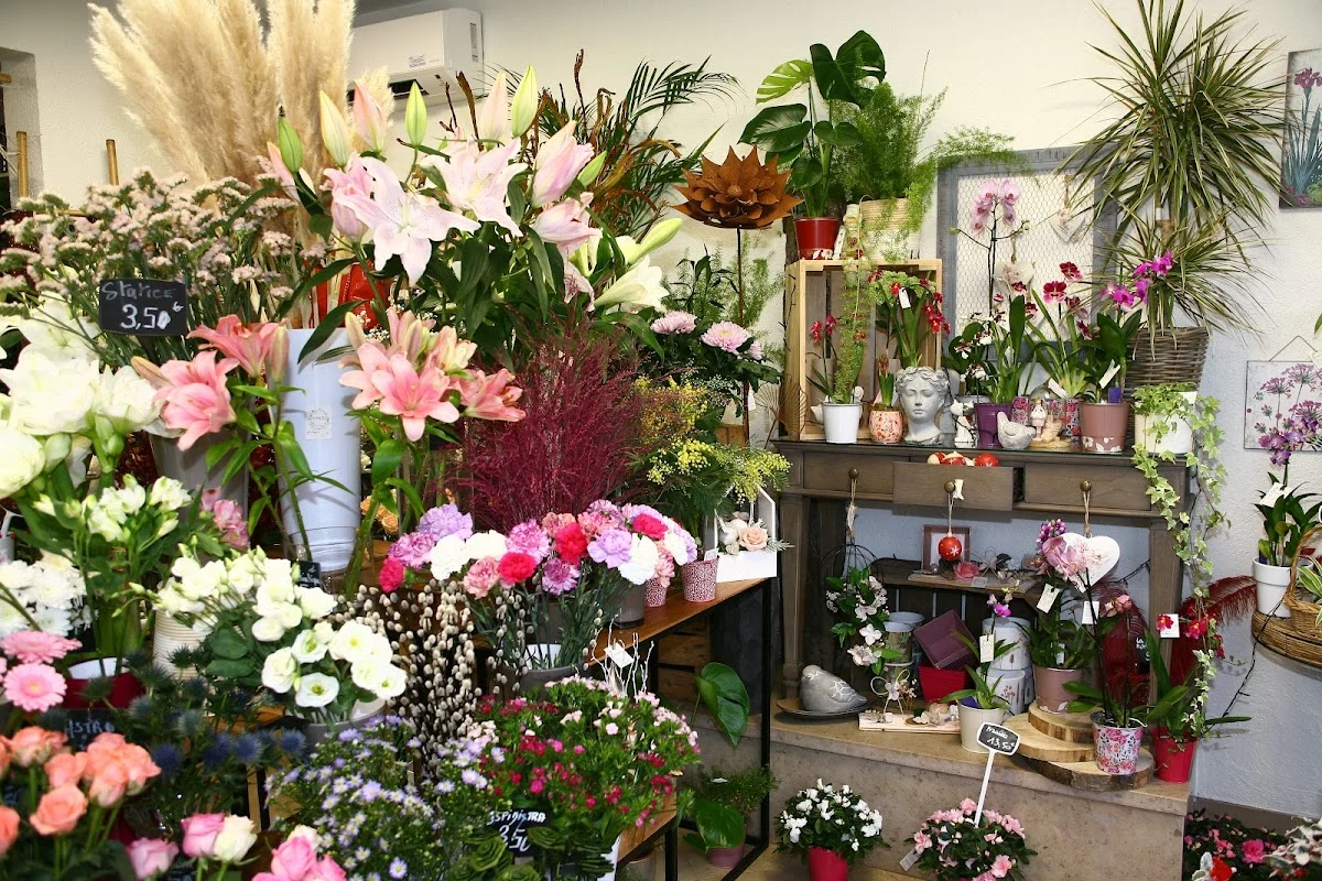 🌼ANATO FLEURS - FLORIANE - 3